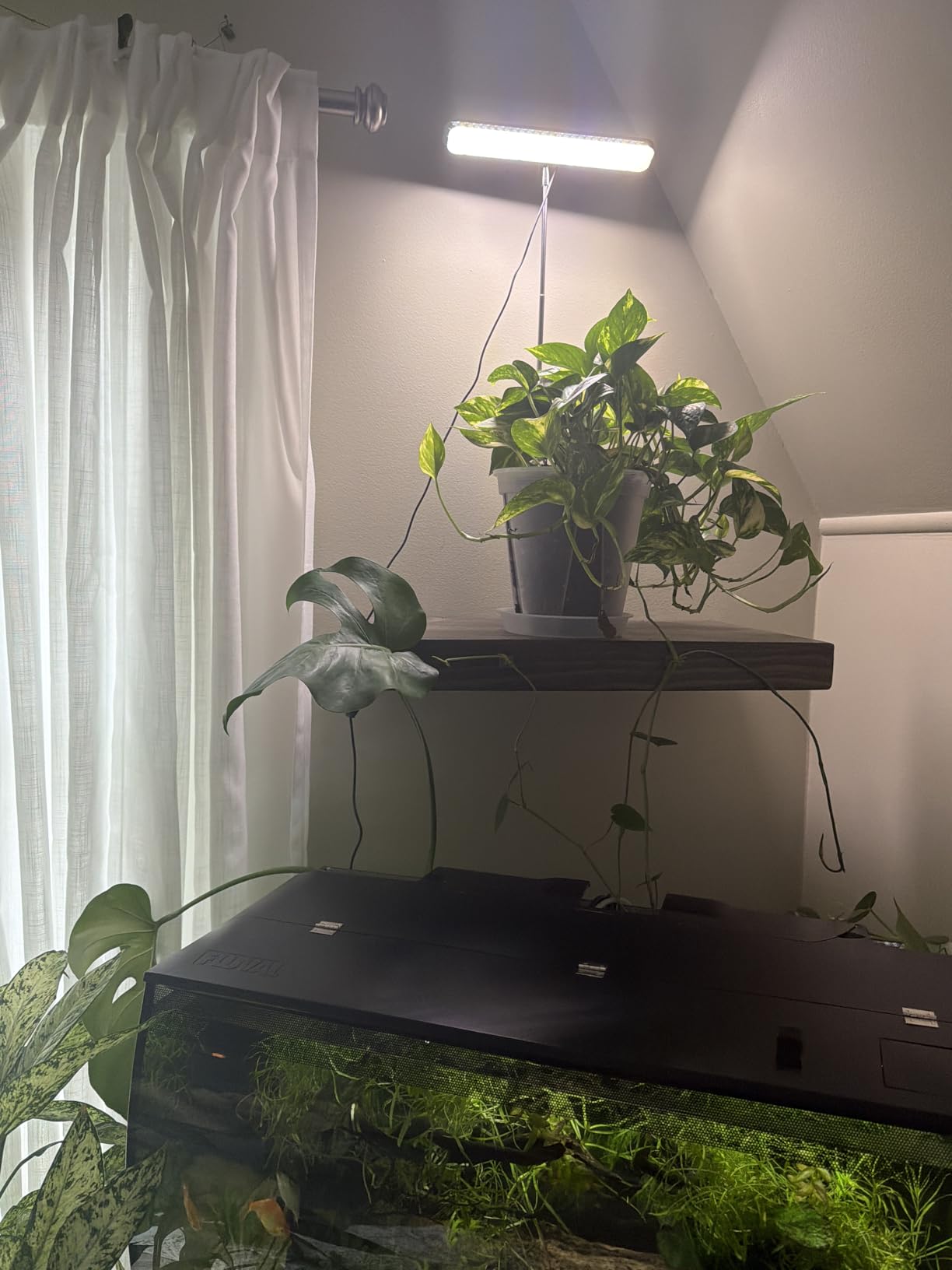 Wiaxulay Grow Light, 11in Full Spectrum Desk Plant Light for Indoor Growing, 78LEDs Grow Lamp with Auto Timer 6/12/16 Hrs, 3 Lighting Modes, 5 Dimmable Levels, Height Adjustable 7.8