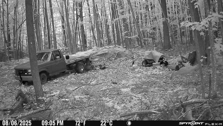 SPYPOINT Flex-M Solar Bundle - Cellular Trail Camera with Solar Panel, Best in Hunting Accessories, No WiFi Needed, GPS, Night Vision, Motion Activated, Dual-Sim LTE, IP65 Water-Resistant Game Camera customer photo 2