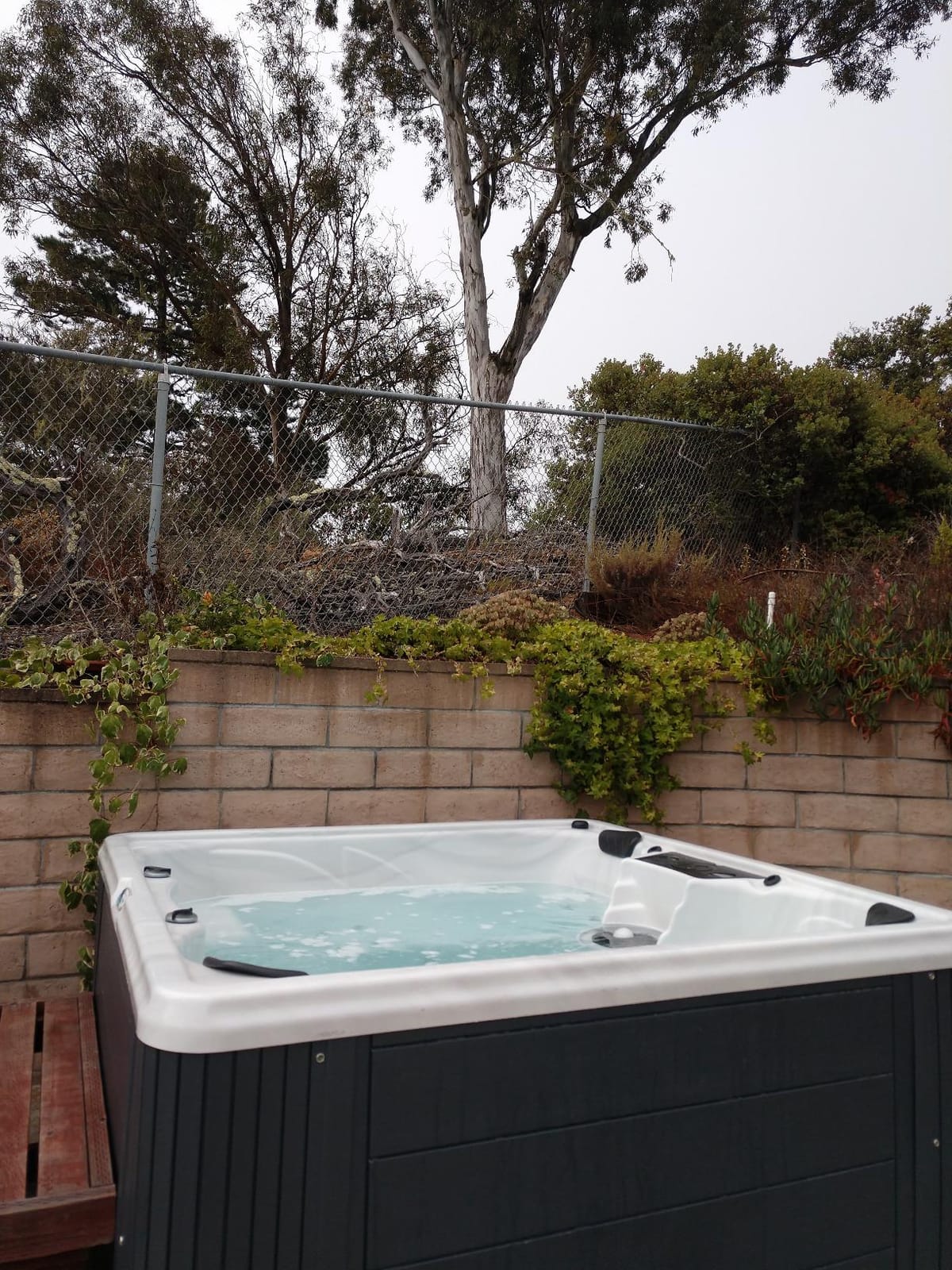 Destination Outdoor Hot Tub, 5-Person 59-Jet 80-Port 4-Pump Lounger Spa with Waterfall Arch and Bluetooth Stereo by Aqualife by Strong Spas customer photo 2