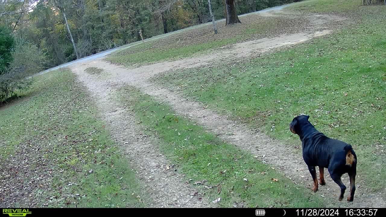 TACTACAM Reveal X 3.0 Cellular Trail Camera, Night Vision, Waterproof customer photo 1