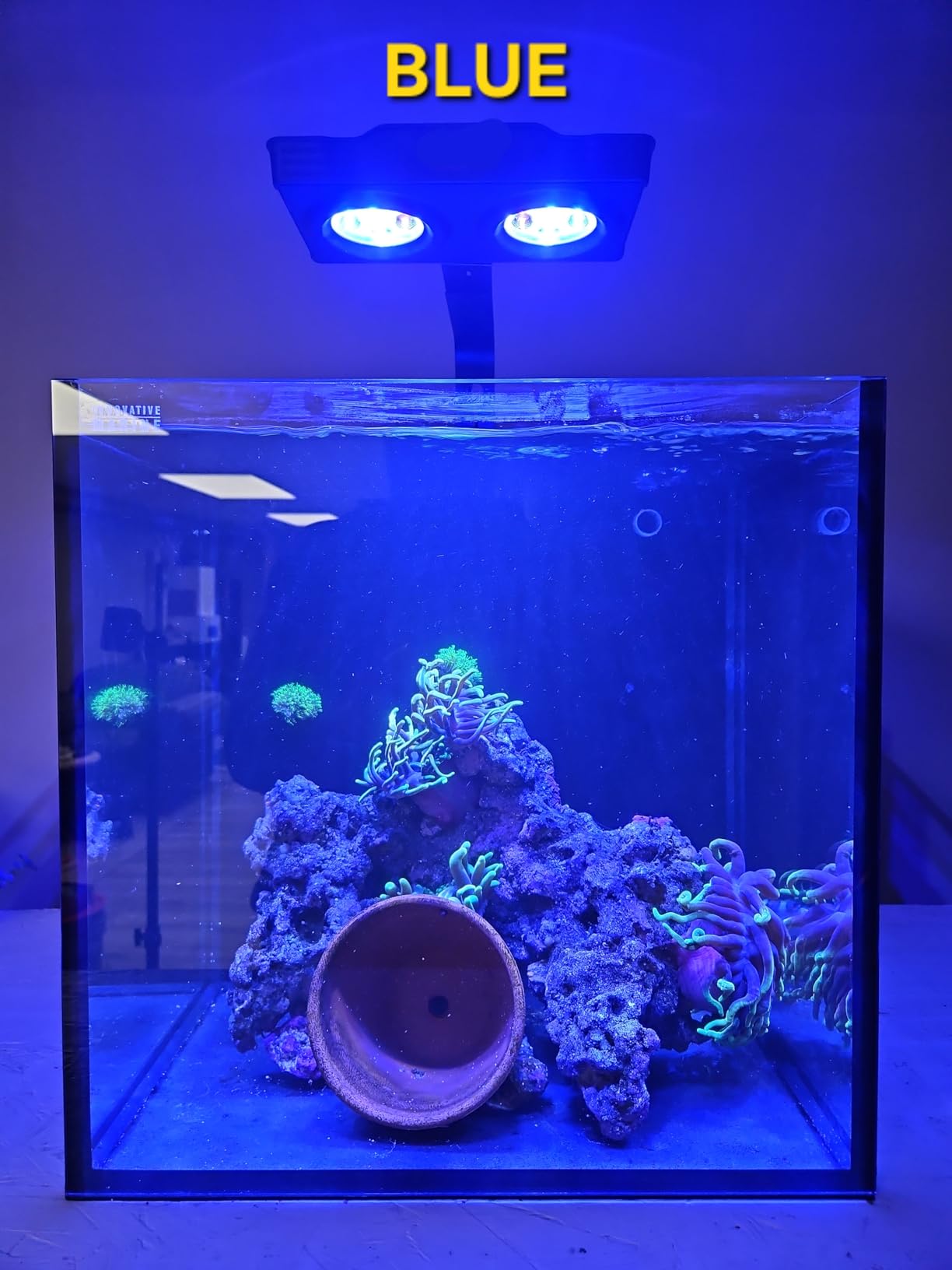 Aquarium Light A036 Reef Tank Light 36 Watts Saltwater Light with Touch Control, Reef Lights for Coral Reef Nano Fish Tank Marine Tanks with Timer & Screen customer photo 1