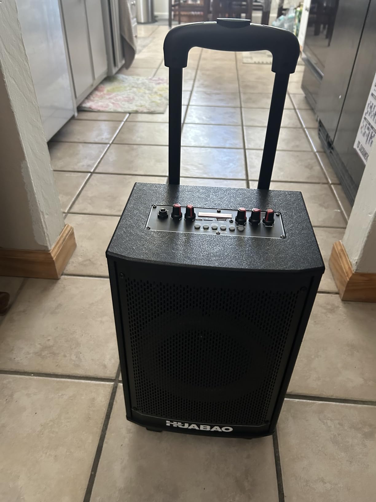 Karaoke Machine with 2 Wireless Microphones, Rolling Wheels, and Trolley - 8800mAh Portable Bluetooth Speaker, PA System with Lights, Adjustable Bass/Treble/Echo for Parties, Indoor and Outdoor Use customer photo 1