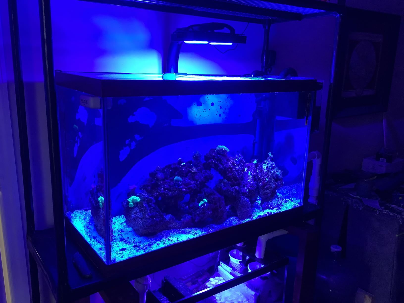 NICREW HyperReef 150 Gen 2 Reef LED Light, 150W Reef Aquarium Lighting for SPS LPS Corals and Saltwater Fish Tanks, Enhanced Violet and Blue Spectrum, Wide Angle Lens, 5 Channels Fully Programmable customer photo 2