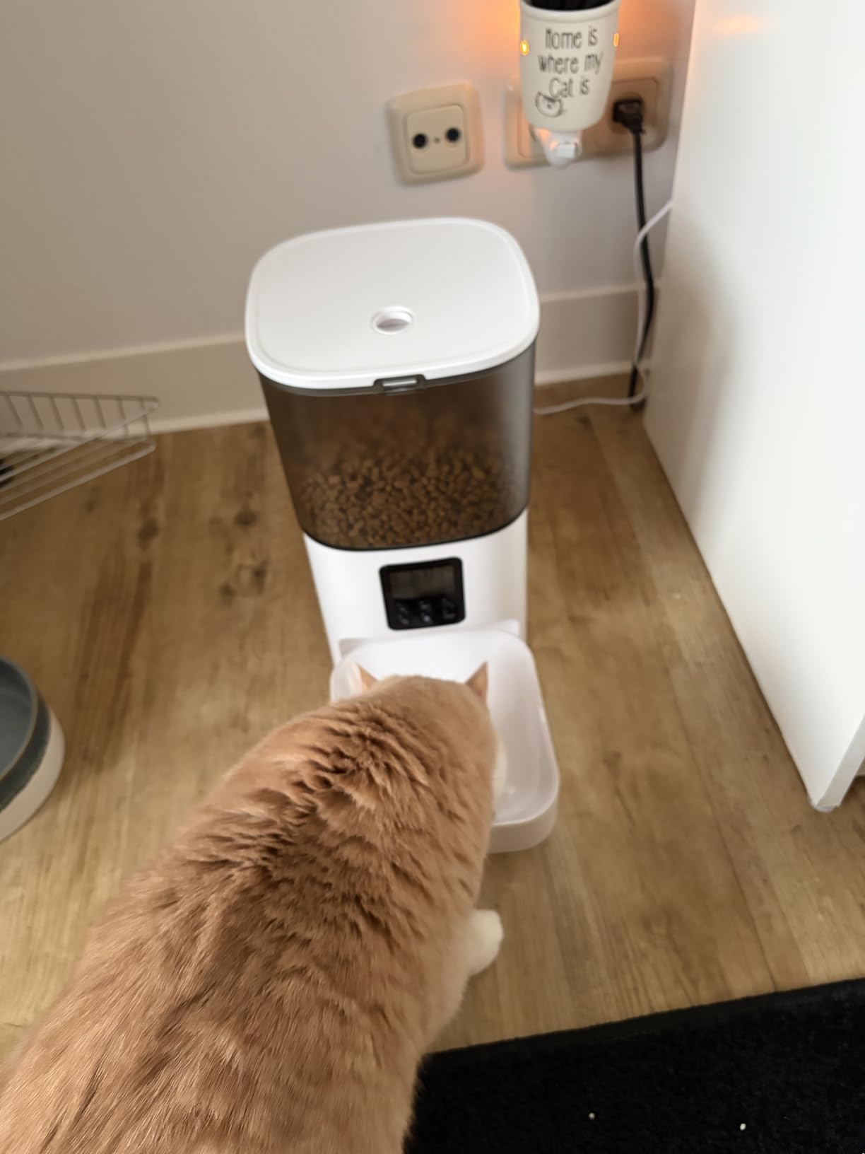 ANDOLL HOME 2.4G Automatic Cat Feeder, 4L WiFi Food Dispenser with 10s Voice Recorder, Pet Feeder up to 10 Meals per Day, Timed Cat Feeder with Dry Food Sealed Ring customer photo 1