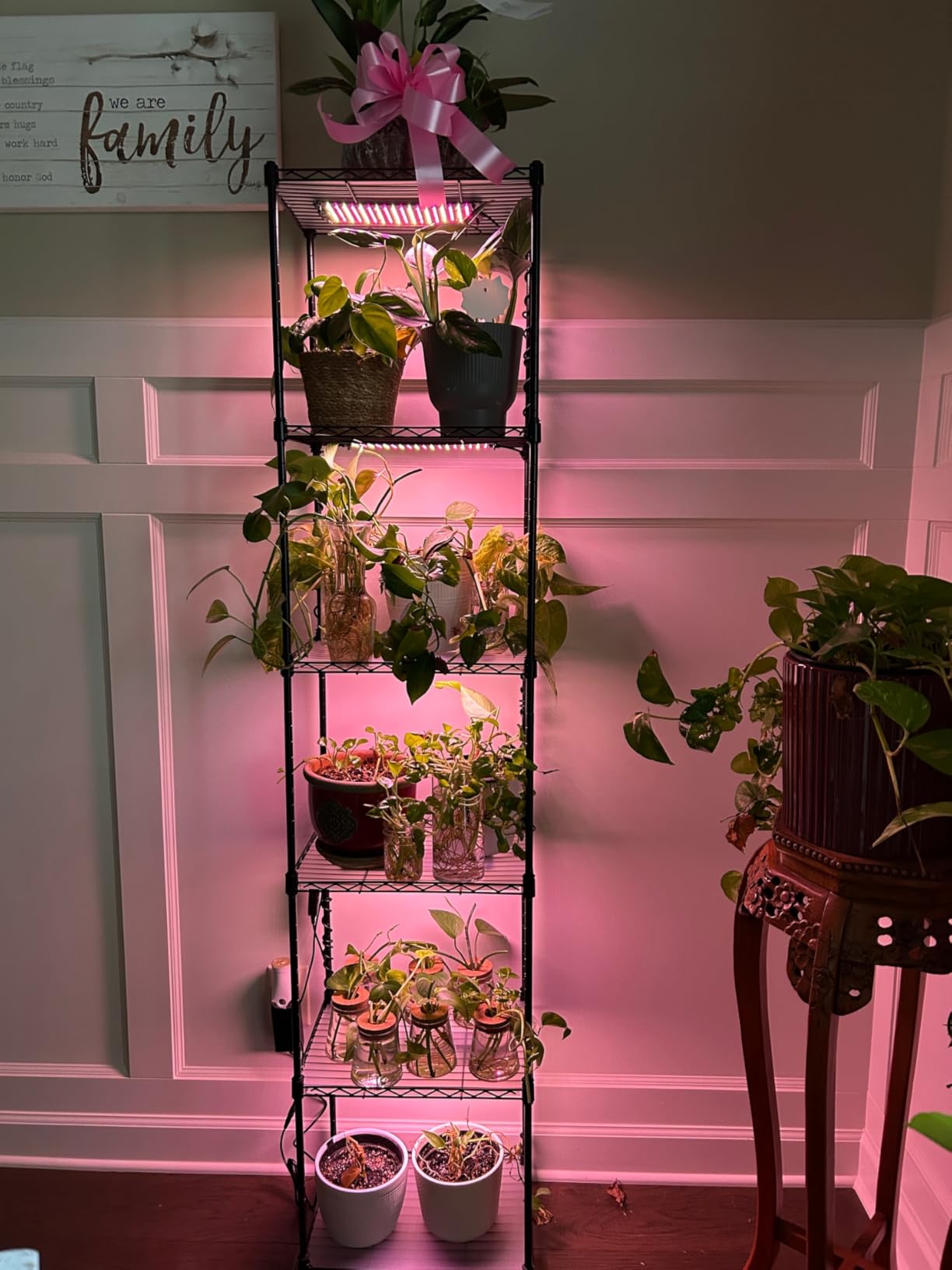 Barrina CX83 Plant Shelf with Grow Light, 5-Tier 40W, 15.7x11.8x59.1IN, Adjustable Plant Stand, Full Spectrum Ultra-Thin Grow Light Panels for Hydroponics, Seedlings, Succulents, Veg, 3/6/12h Timer customer photo 2