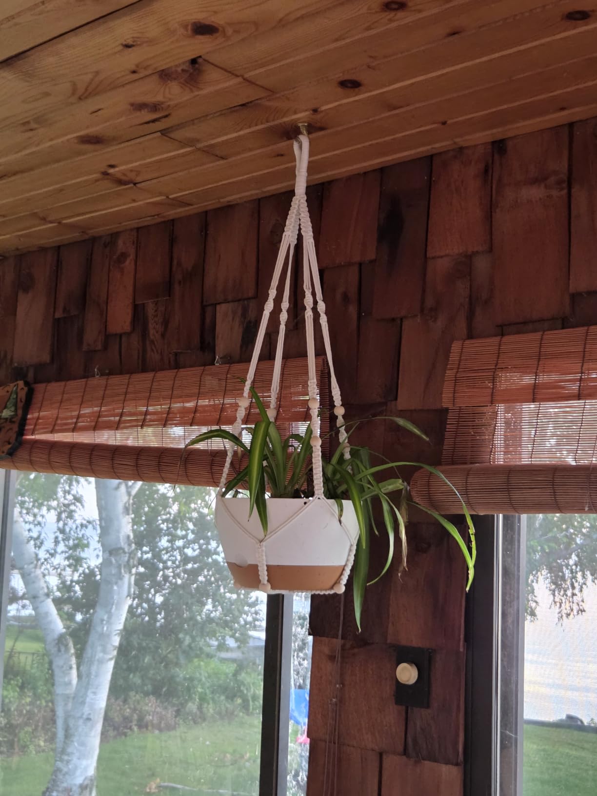 Set of 2-10 Inch Hanging Planters for Indoor Plants with Self-Watering Includes Hanging Pots for Plants, Outdoor Hanging Plant Pot with Drainage, and 2 Types of Hanging Baskets Hangers (White, 10inch) customer photo 1