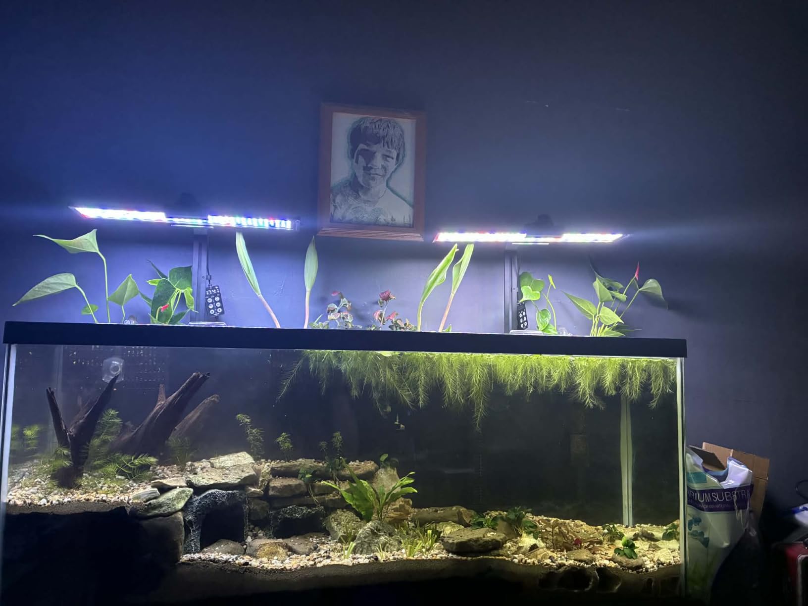 SEAOURA LED Aquarium Light with 24/7 Timer for 18-24in Fish Tank | high PAR LEDs for plant growth, 3 timers + memory, 20 dimming, 15min fade, adjustable brackets, slim aluminum customer photo 1