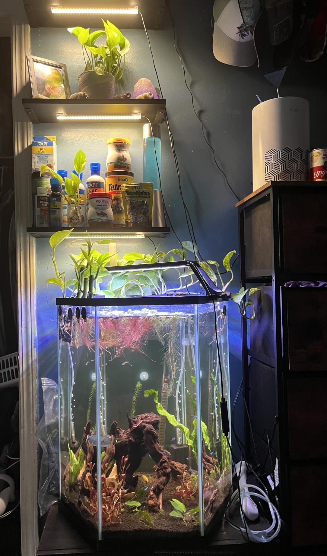 LED Grow Light Strips, Grow Lights for Indoor Plants Full Spectrum 3000K, Plant Light Bar with 3/9/12H Timer, 10 Dimmable Levels for Seedling Succulent, Best Match for Plant Shelf (3 Head x 2 Pack) customer photo 1