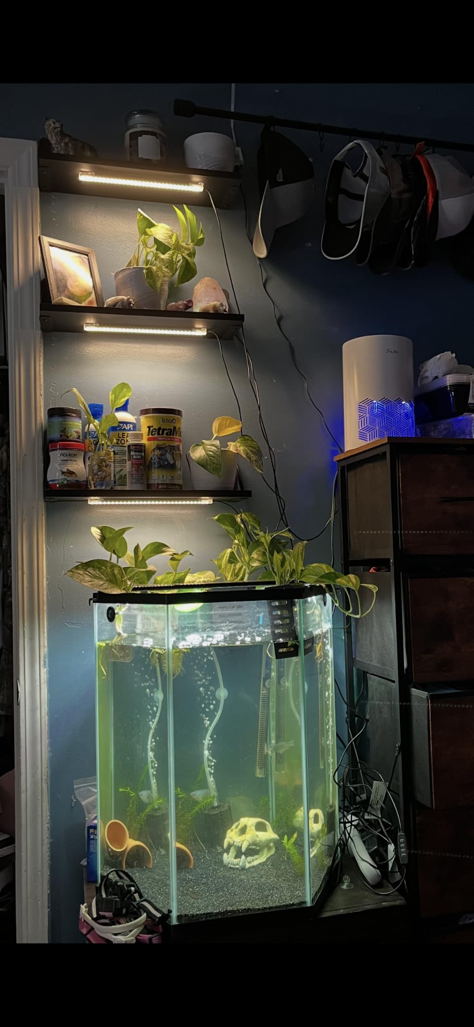 LED Grow Light Strips, Grow Lights for Indoor Plants Full Spectrum 3000K, Plant Light Bar with 3/9/12H Timer, 10 Dimmable Levels for Seedling Succulent, Best Match for Plant Shelf (3 Head x 2 Pack) customer photo 2