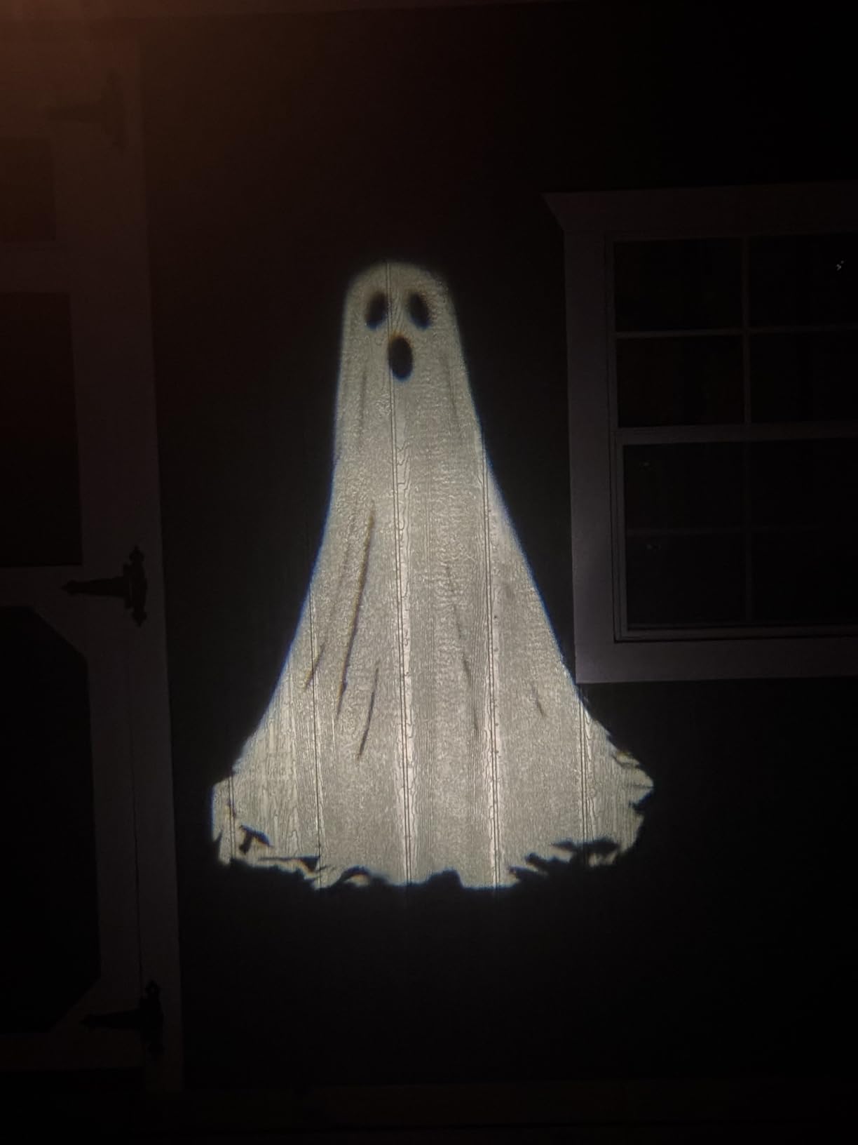 Halloween Projector Lights Outdoor, 3D Dynamic Ghost Decorations Light, 2026 Upgraded Clearer Ghost HD Patterns, Night Light for Home Window Wall Halloween Decor customer photo 2