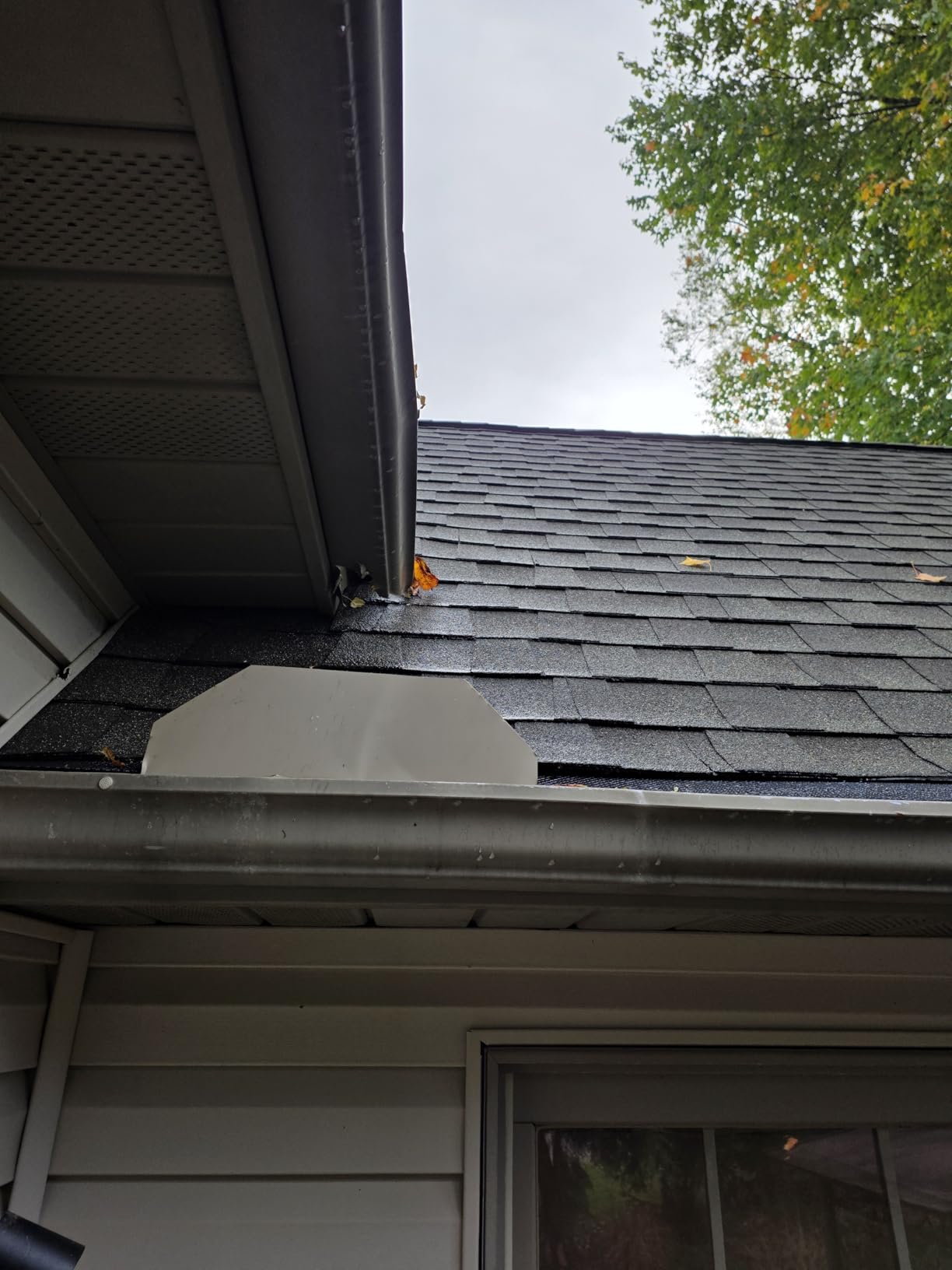SDSNTE Lock-in Gutter Guard, 6 Inch X 120 Ft, Black, 40 Packs, Gutter Protection Covers, Leaf Micro Mesh Screens, Fits K Style Gutter, Durable Coated Steel customer photo 1