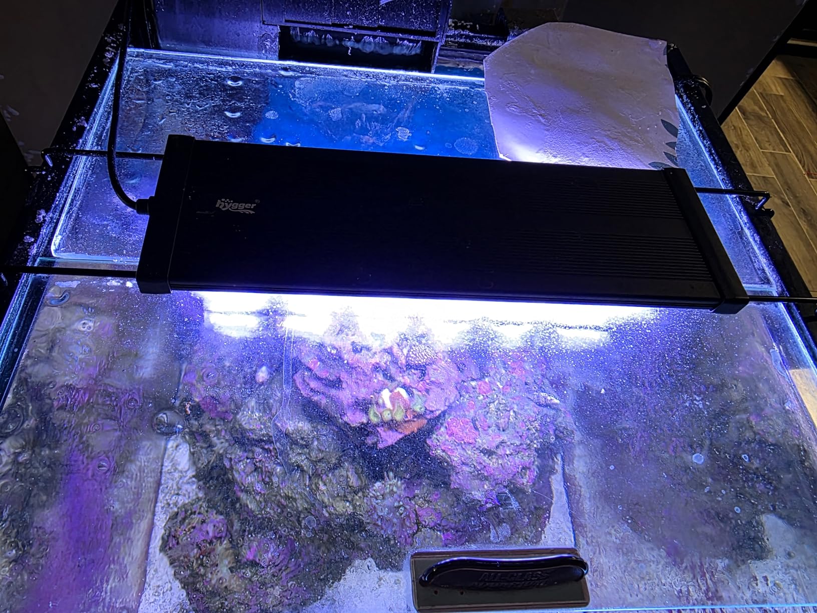 hygger LED Saltwater Aquarium Light, 24/7 Mode Nano Tank Reef Light for Coral, Refugium Light with White, Blue, U-V LEDs Dimmer Timer Moonlight Mounting Bracket 2 Metal Legs 11'' Long 19W customer photo 1