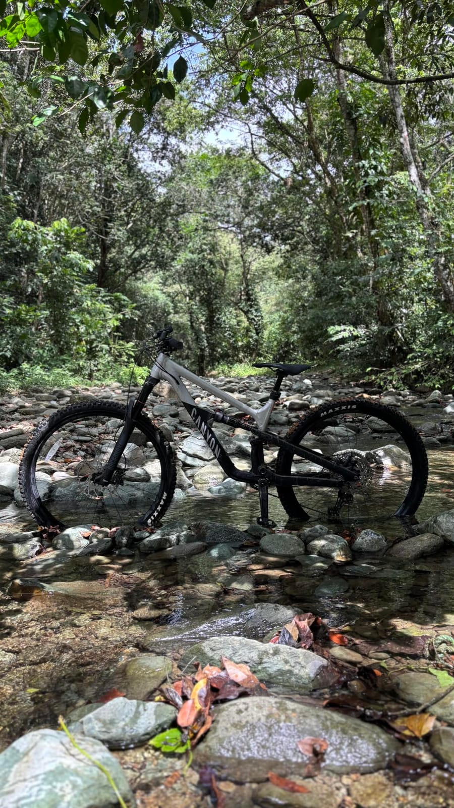 Canyon Spectral 125 AL 5 customer photo 2