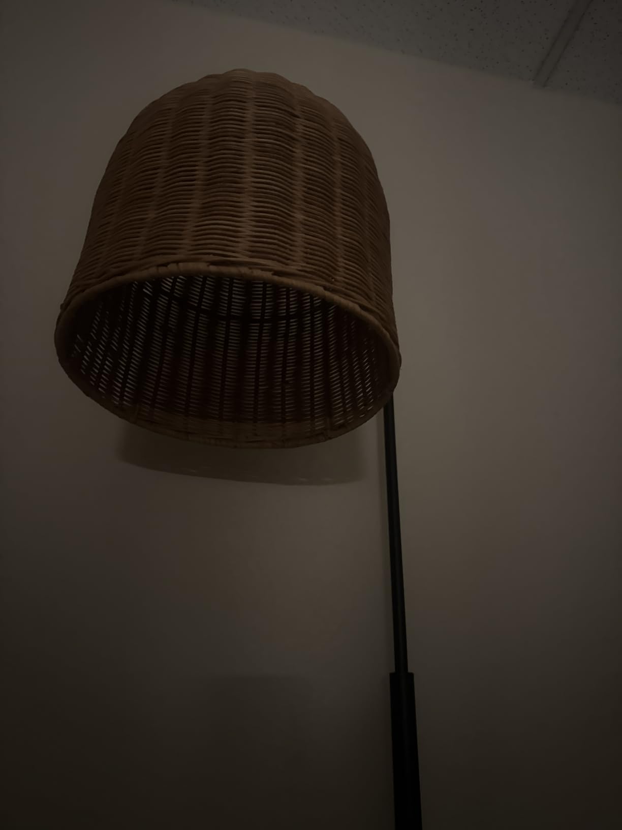Rattan Floor Lamp, 66in. Boho Floor Lamp with Natural Brown Rattan Shade, Rustic Arc Standing Lamp for Coastal, Beach or Bohemian Style Decor (Coastal-Black) customer photo 1