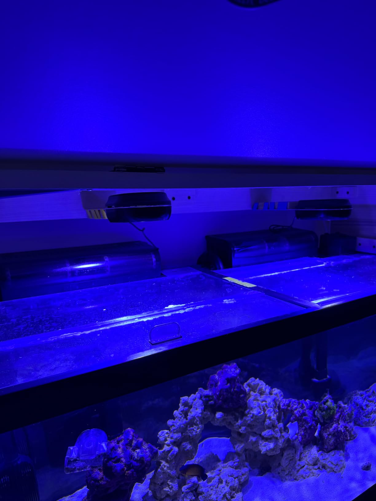 PopBloom RL60 WiFi Reef LED Light, 60W Full Spectrum Marine Reef LED Aquarium Lighting for Soft/LPS Corals & Saltwater Fish Nano Tanks, Built-in Timer, WiFi Phone Programmable, Sunrise Sunset customer photo 2