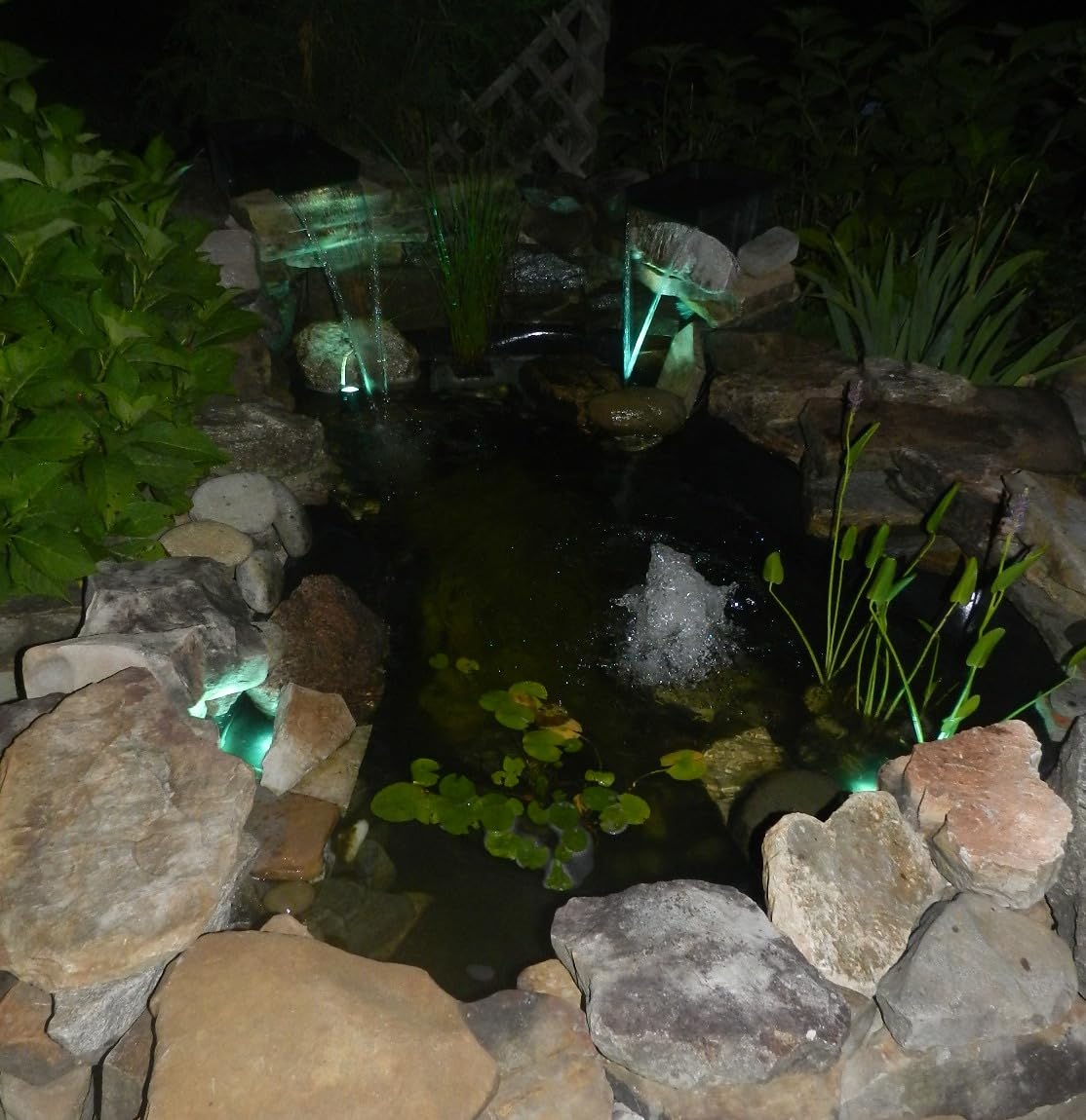 T-SUN Color Changing Pond Lights, 4 Lightheads with Bluetooth APP Control | IP68 Waterproof LED Submersible Pond Lights for Aquarium, Fish Tank, Pool, Garden and Yard customer photo 2
