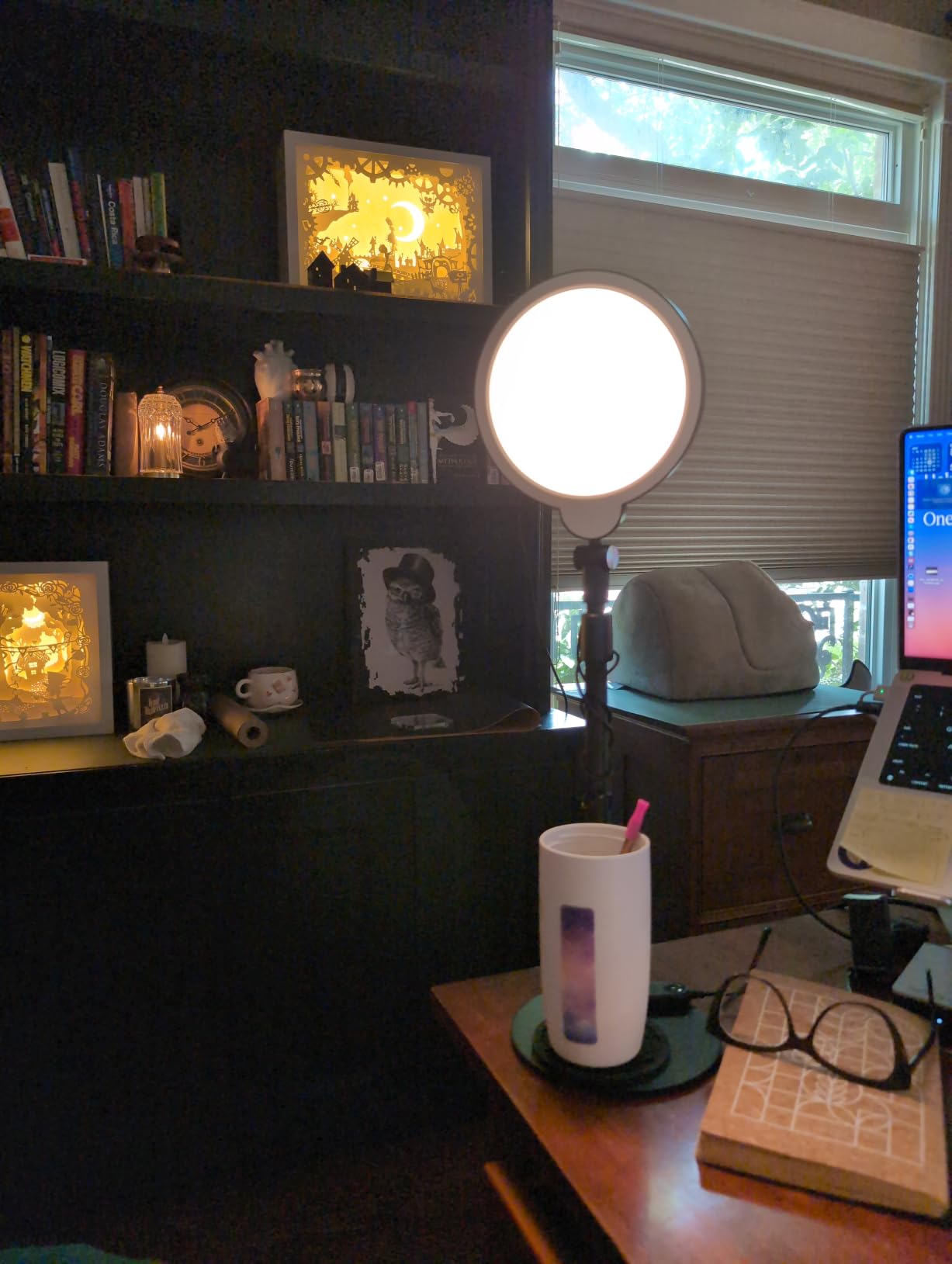 Dimmable Ring Light with Stand for Desk, Adjustable Desk Light for Video Recording, 30 Light Modes Video Conference Lighting, Zoom Lighting for Computer, Webcam, Podcast, Calls, Home Office, CRI 97.8 customer photo 2