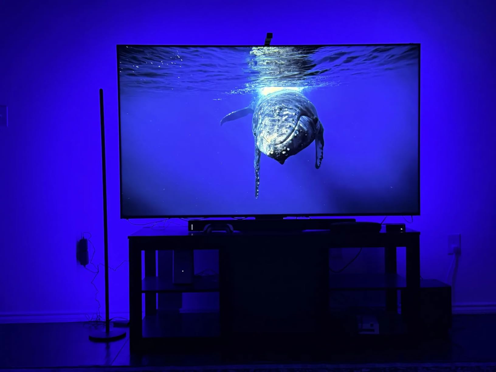 Govee RGBIC Floor Lamp Basic, 1000lm LED Corner Lamp | Works with Alexa, Smart Modern Floor Lamp with Music Sync and Color Changing Standing Lamp for Bedroom Living Room Blue customer photo 1