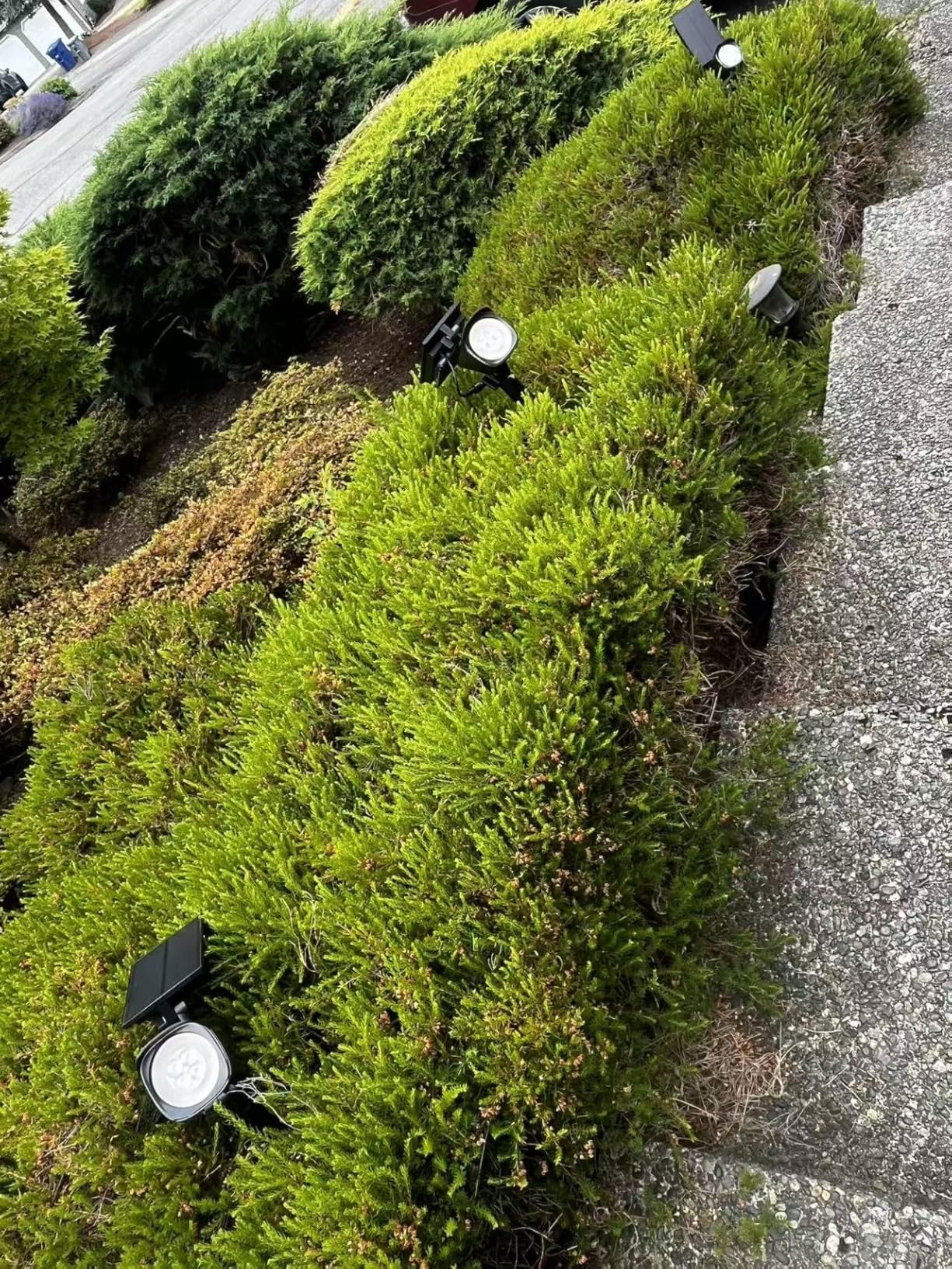 Linkind Smart Solar Lights Outdoor Waterproof SL6C, Dual Ring Tree Spotlight | Solar&USB Charging Solar Spotlights Outdoor Waterproof IP66, Color Changing Spot Light for Tree, Yard, Landscape, House, 4 Pack customer photo 2