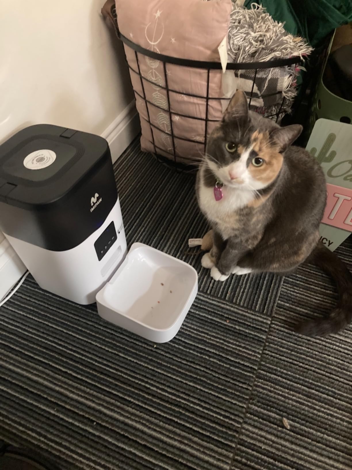IMIPAW Automatic Cat Feeder with Camera - AI Pet Recognition & Recording, Night Vision, 5G WiFi APP Remote Control, Two-Way Audio & Desiccant Bag, Timed Programmable Food Dispenser for Small Pets customer photo 1
