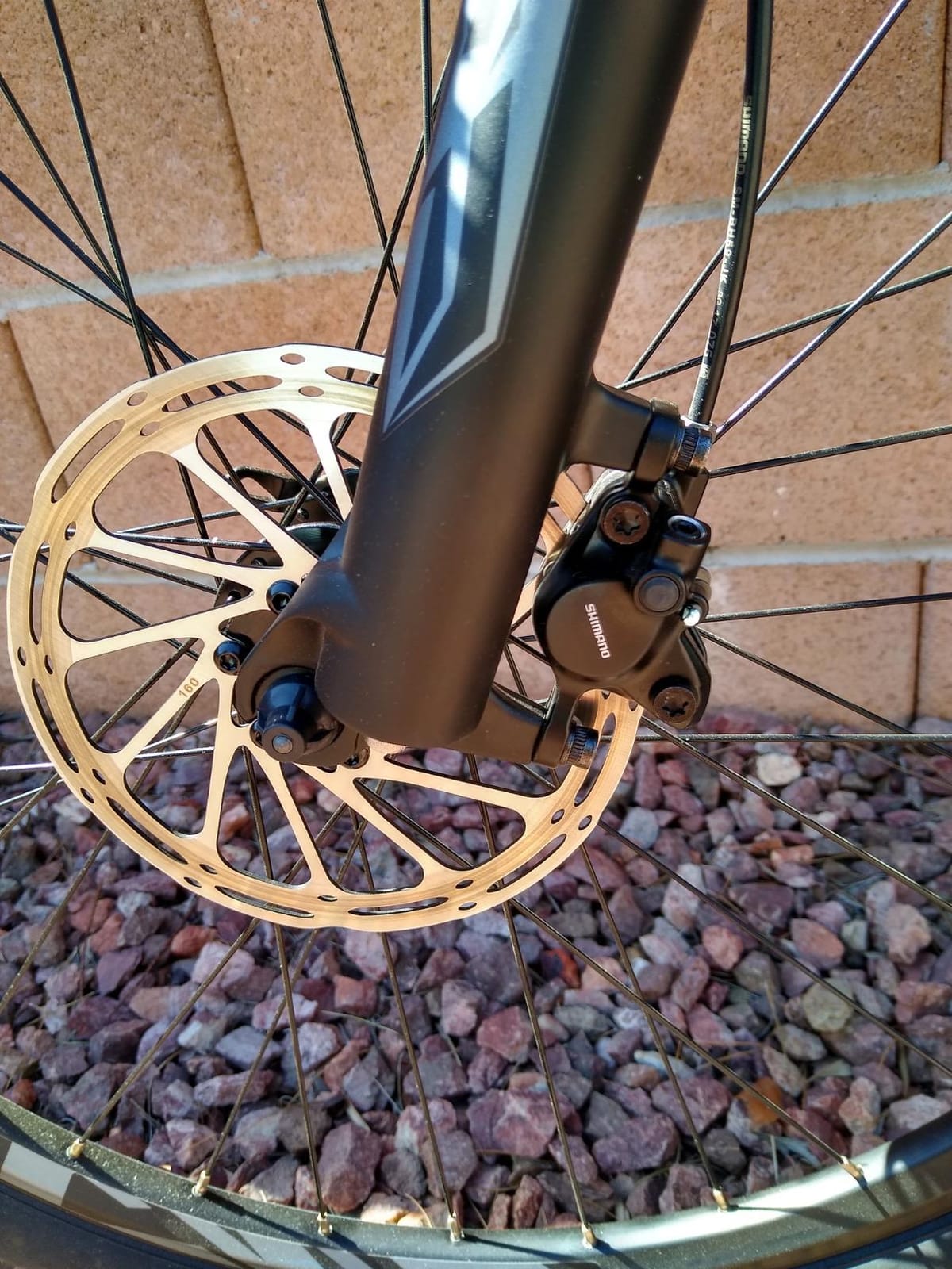 SAVADECK Titan 612 Carbon Fiber Mountain Bike customer photo 1