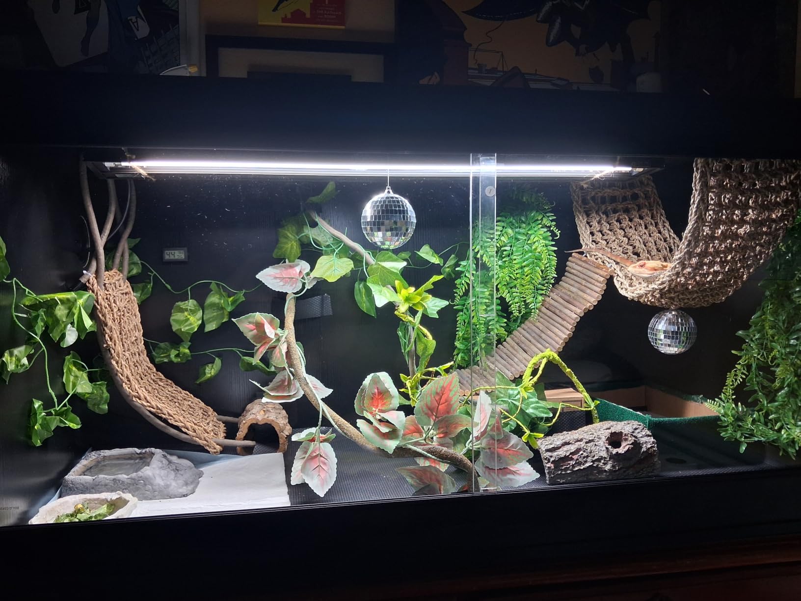 unipaws 110 Gallon Reptile Tank for Lizards, Bearded Dragon Enclosure Cage customer photo 2