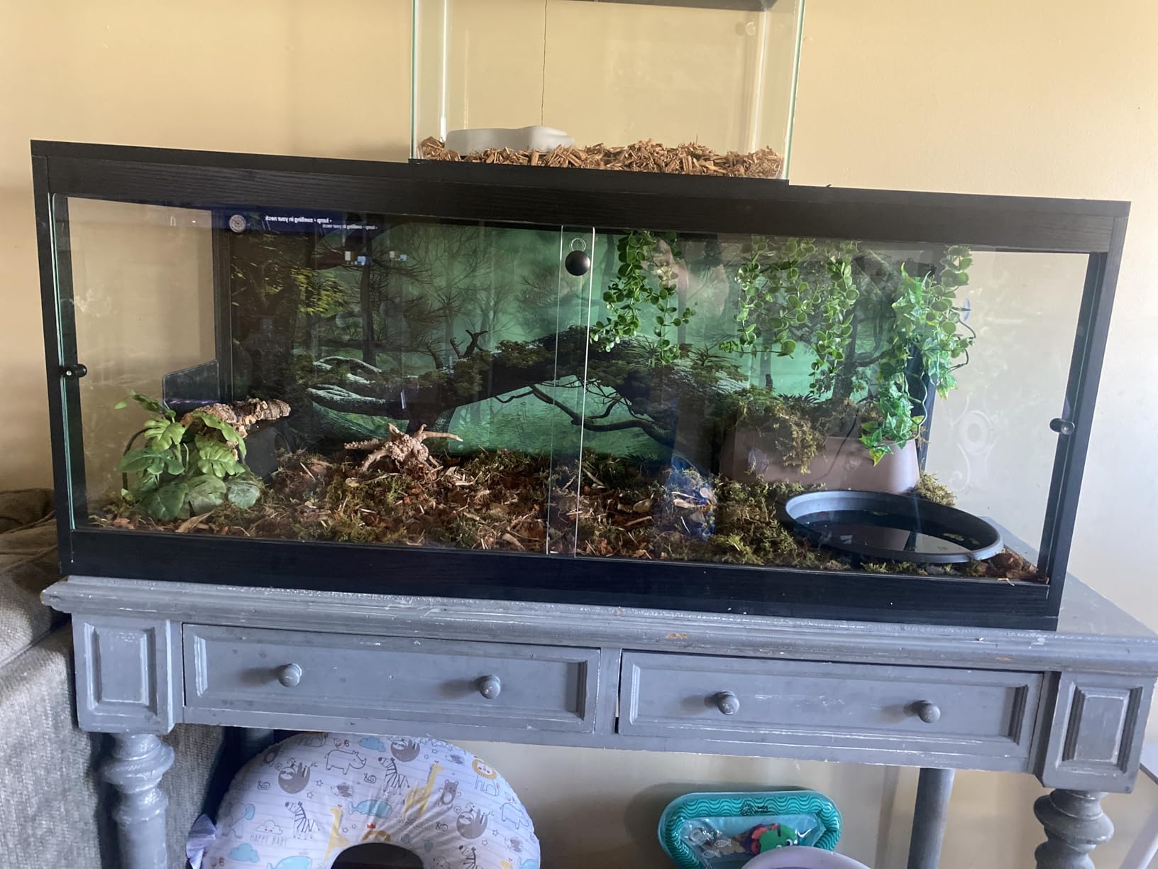 PROLEE 82 Gallon Bearded Dragon Tank, 48 x 20 x 20 Inch Tempered Glass Reptile Enclosure with Metal Mesh Top, Lockable Sliding Front Doors, Large Lizard and Snake Terrarium, Black customer photo 1