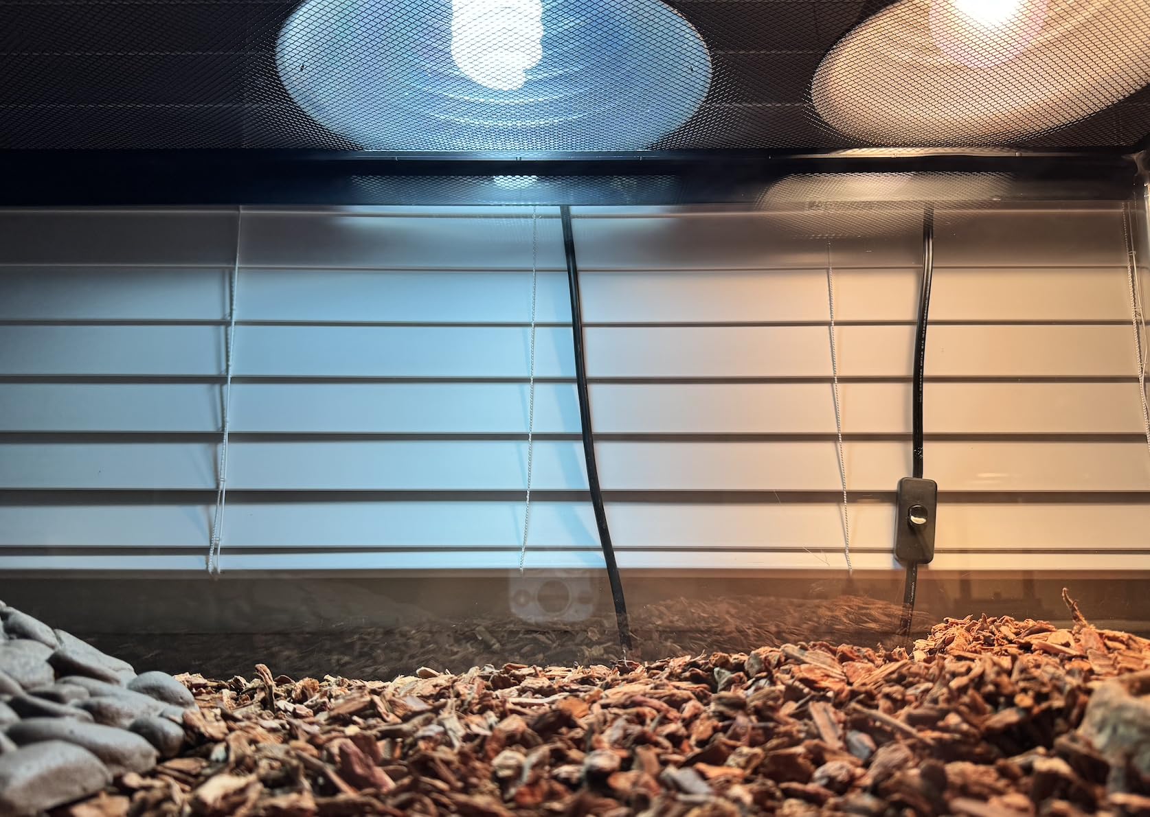 REPTI ZOO UVB Light for Desert Reptile 2 Pack, 10.0 26W UVA UVB Reptile Light Bulb, UVB Spiral Compact Lamp for Bearded Dragons Tortoises Lizards Snakes customer photo 1