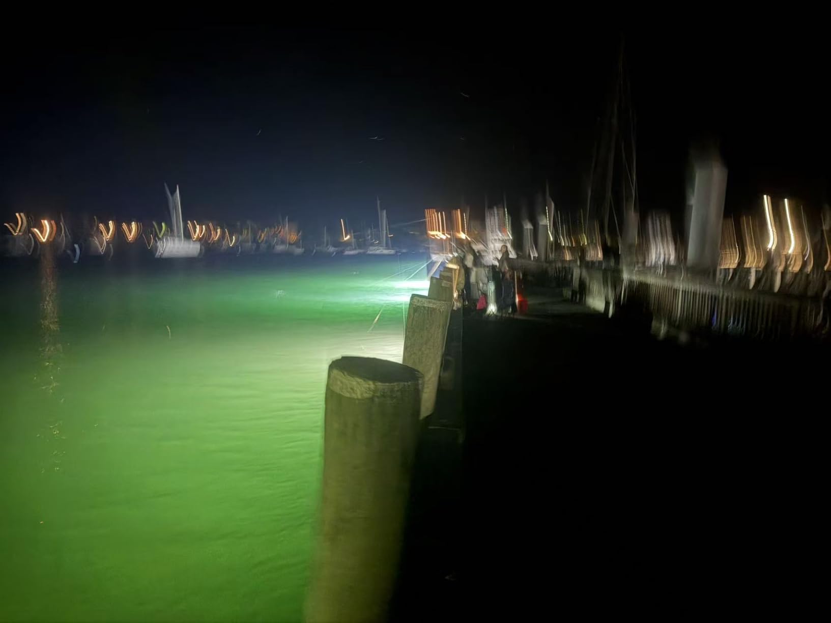 Underwater Fishing Light 60W 7500LM, 530nm Green Submersible Fish Attractant Light with 30FT Cord, 100-240V AC to 12V DC Adapter, Alligator Clip Cable, 40FT Safety Cable, for Night Fishing, Dock, Boat customer photo 1