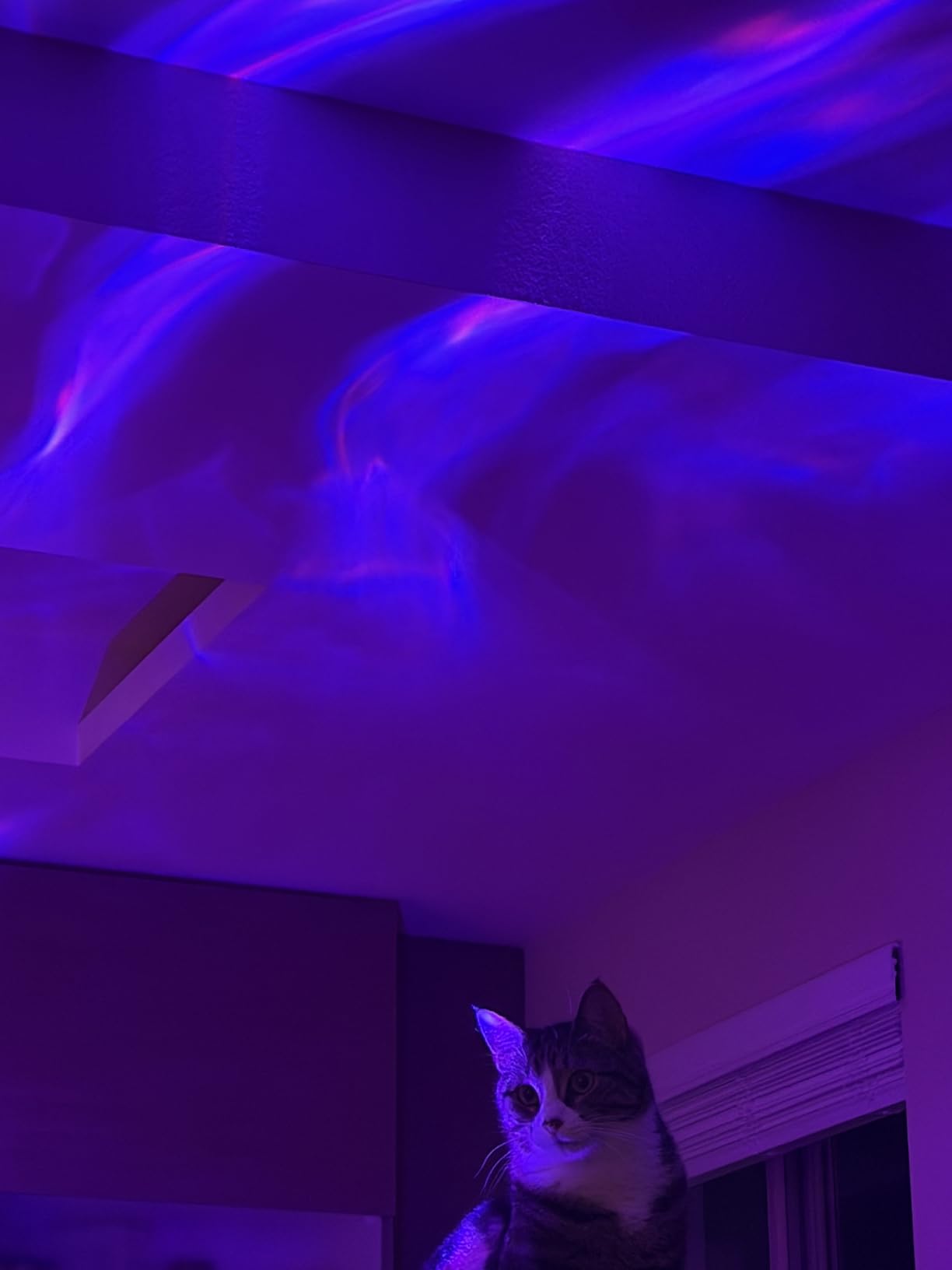 Galaxy Projector Night Light Projector, 15-Color Galaxy Light Projector Star Projector for Bedroom | 15 White Noise, 7 Brightness, 4 Speed, Green Star, Bluetooth, Remote, Timer, Teen Boys Gift, Ceiling, Room Decor, Relax customer photo 2