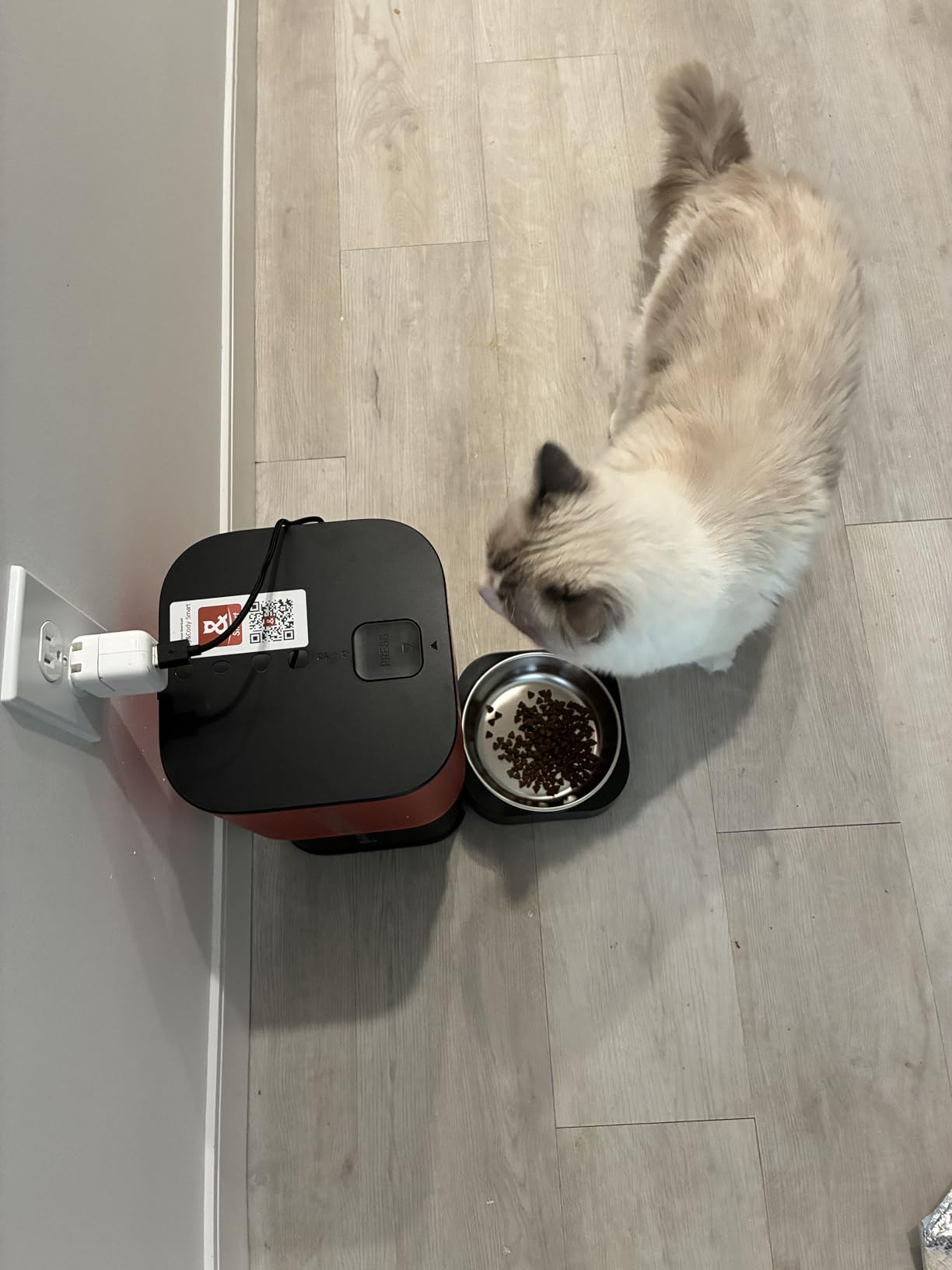 Automatic Cat Feeder with Camera: 6L Automatic Dog Feeder with 2-Way Audio Night Vision Dual Power Supply App Control 2.4G WiFi, Timed Auto Cat Food Dispenser with Stainless Steel Bowl(Black) customer photo 1