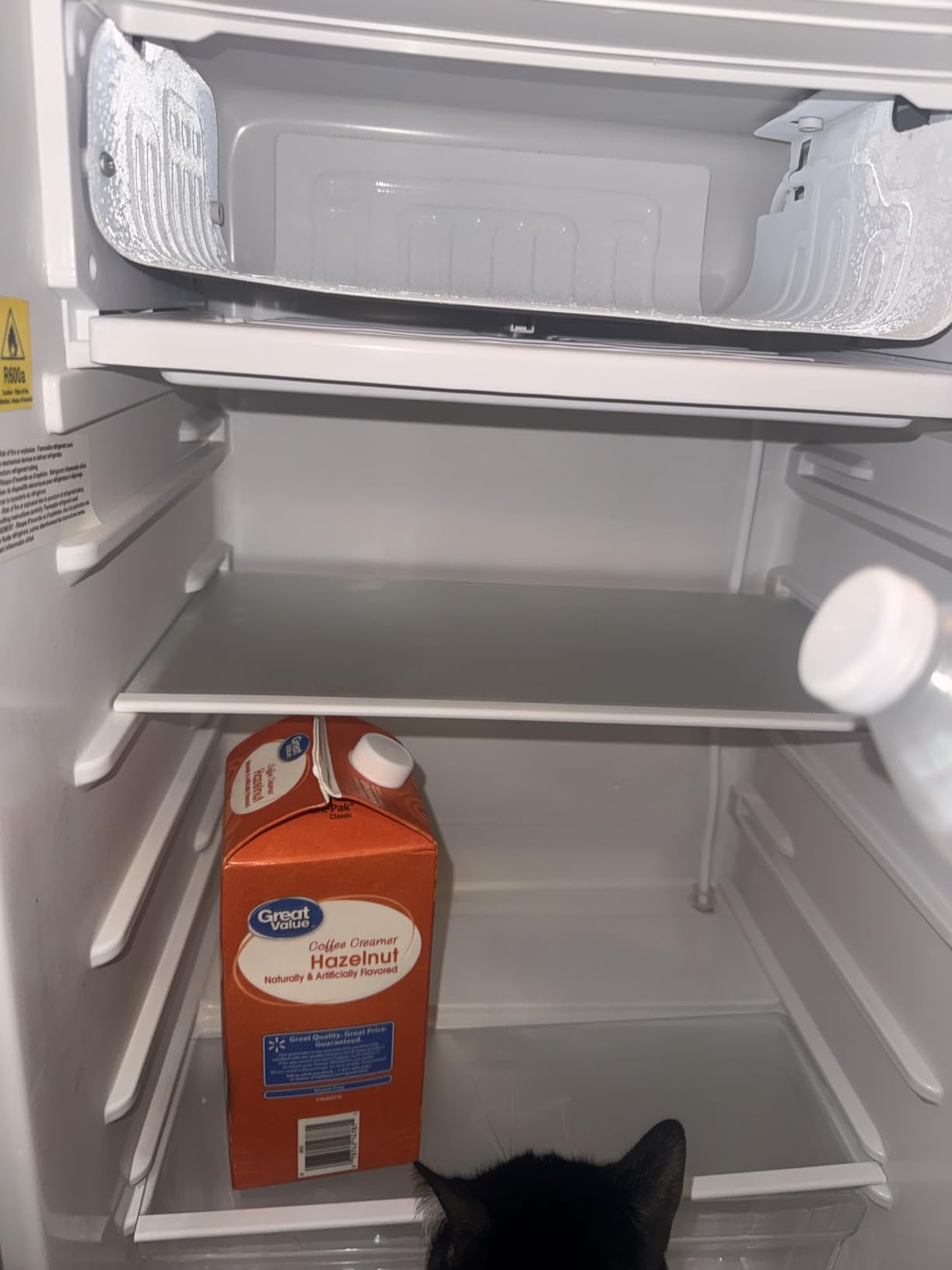 3.2 Cu Ft Mini Fridge with Freezer, Single Door Upright Freezer customer photo 1