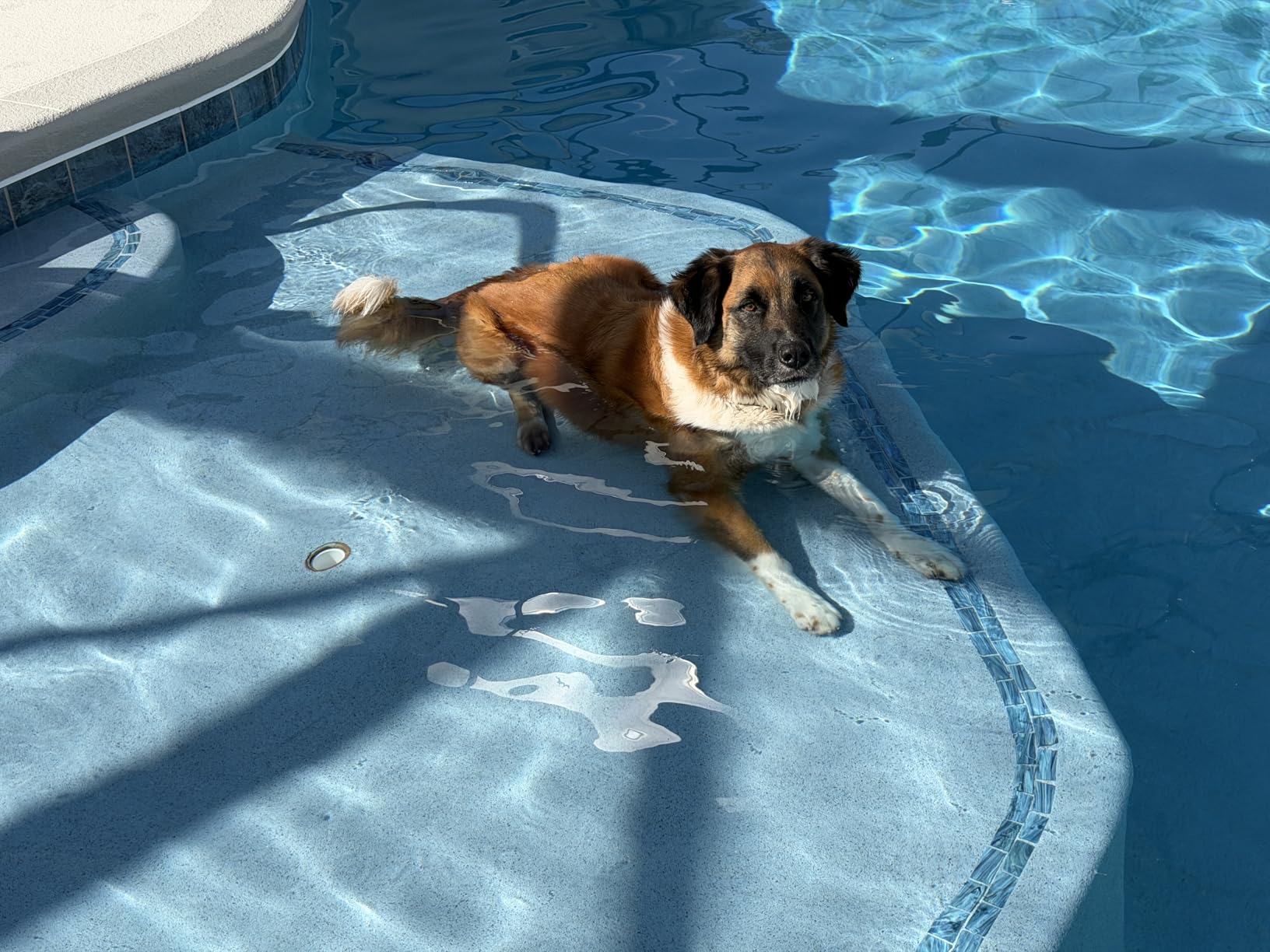 Beatbot Sora 10 Pool Vacuum Robot with Shallow Water Platform Cleaning - Floor Wall Waterline Cleaning, Smart Surface Parking, 300 Min Runtime for Above Ground & Inground Pools customer photo 1
