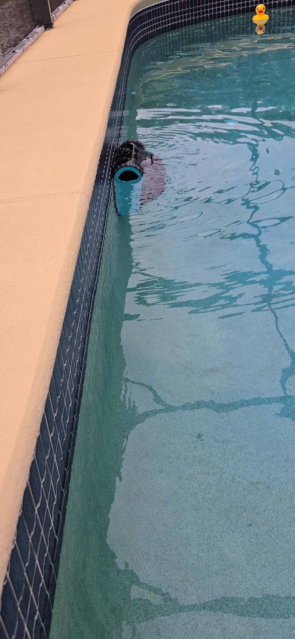 (2026 Upgrade) Aiper Scuba S1 Robotic Pool Cleaner, 270-Min Runtime, Floor, Wall, Waterline, Shallow Area Cleaning, Smarter Navigation, 11 High-Precision Sensors, App Support & Weekly Custom Cleaning-Blue customer photo 1