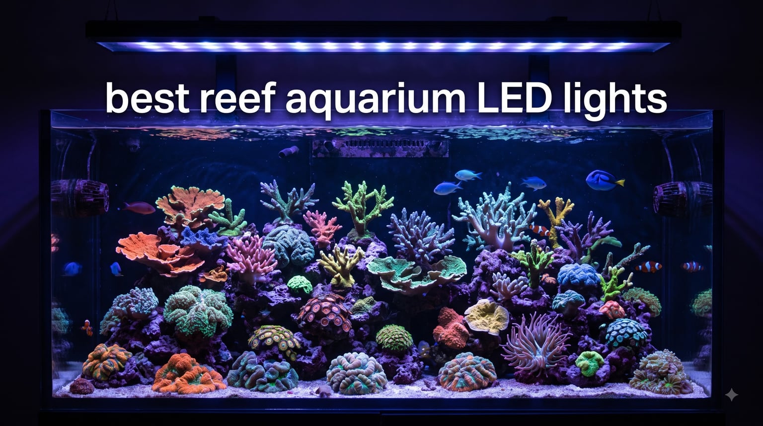 best reef aquarium LED lights