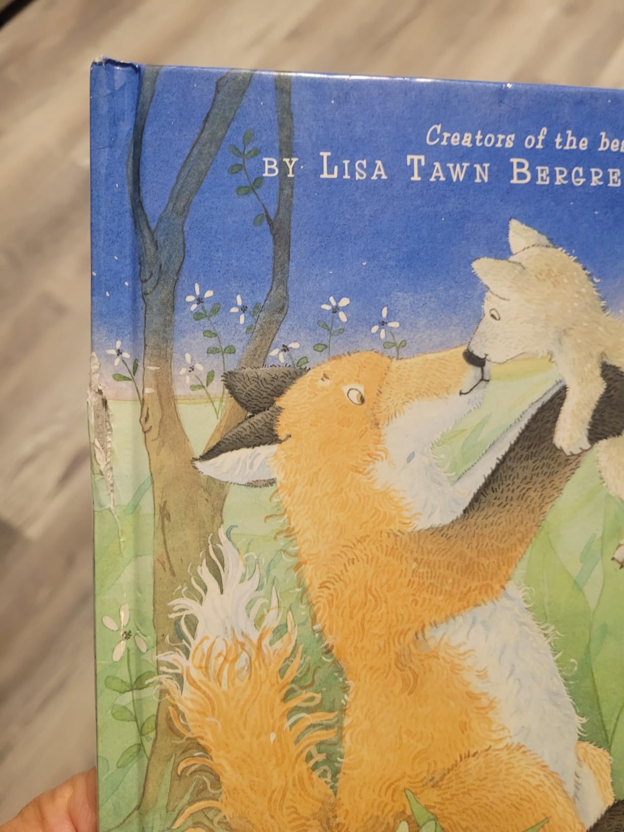 God Found Us You: A Heartwarming Picture Book About Adoption and Faith for Kids (Ages 4-8) customer photo 1