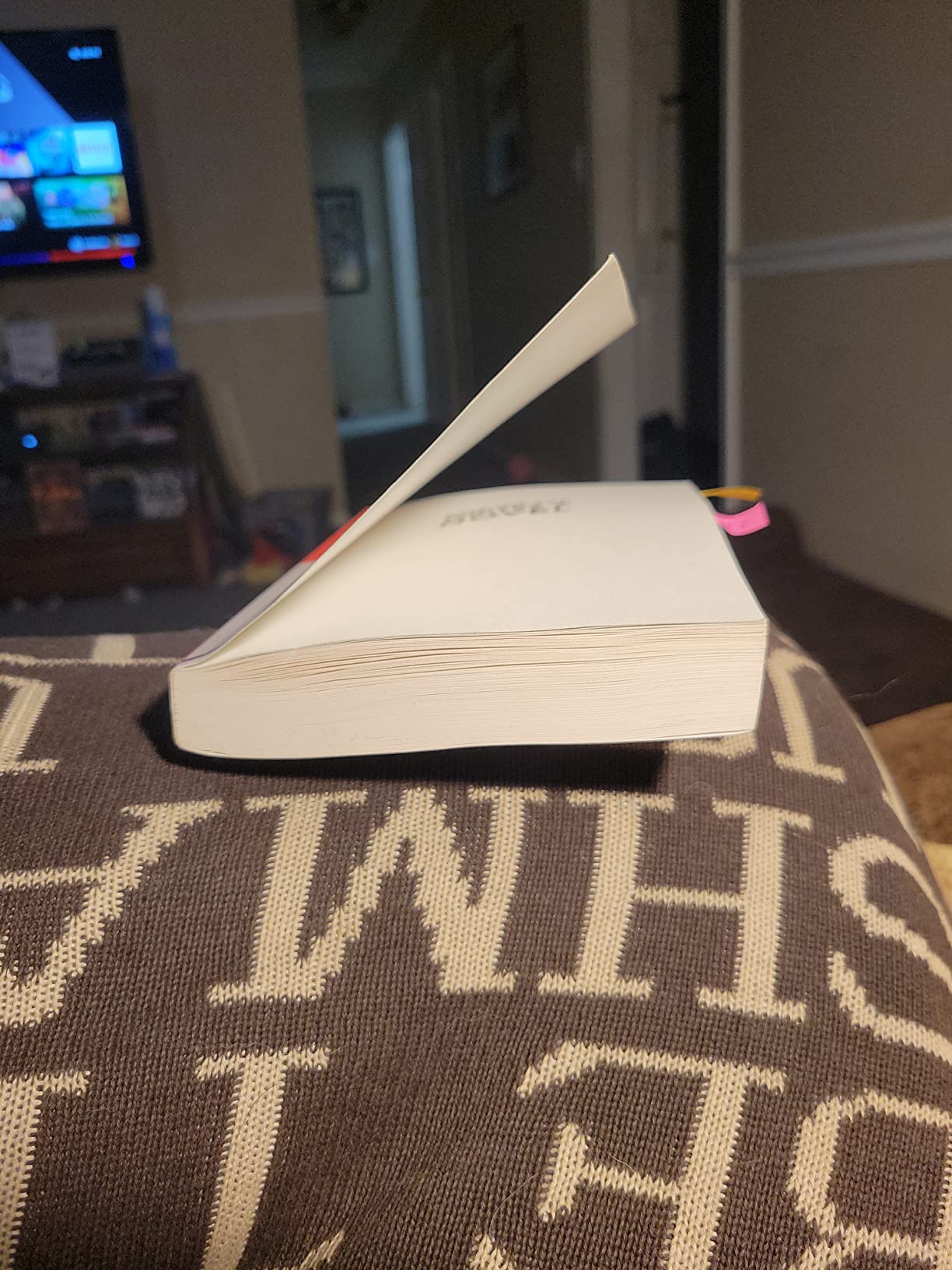Save the Cat! Writes a Novel: The Last Book On Novel Writing You'll Ever Need customer photo 2