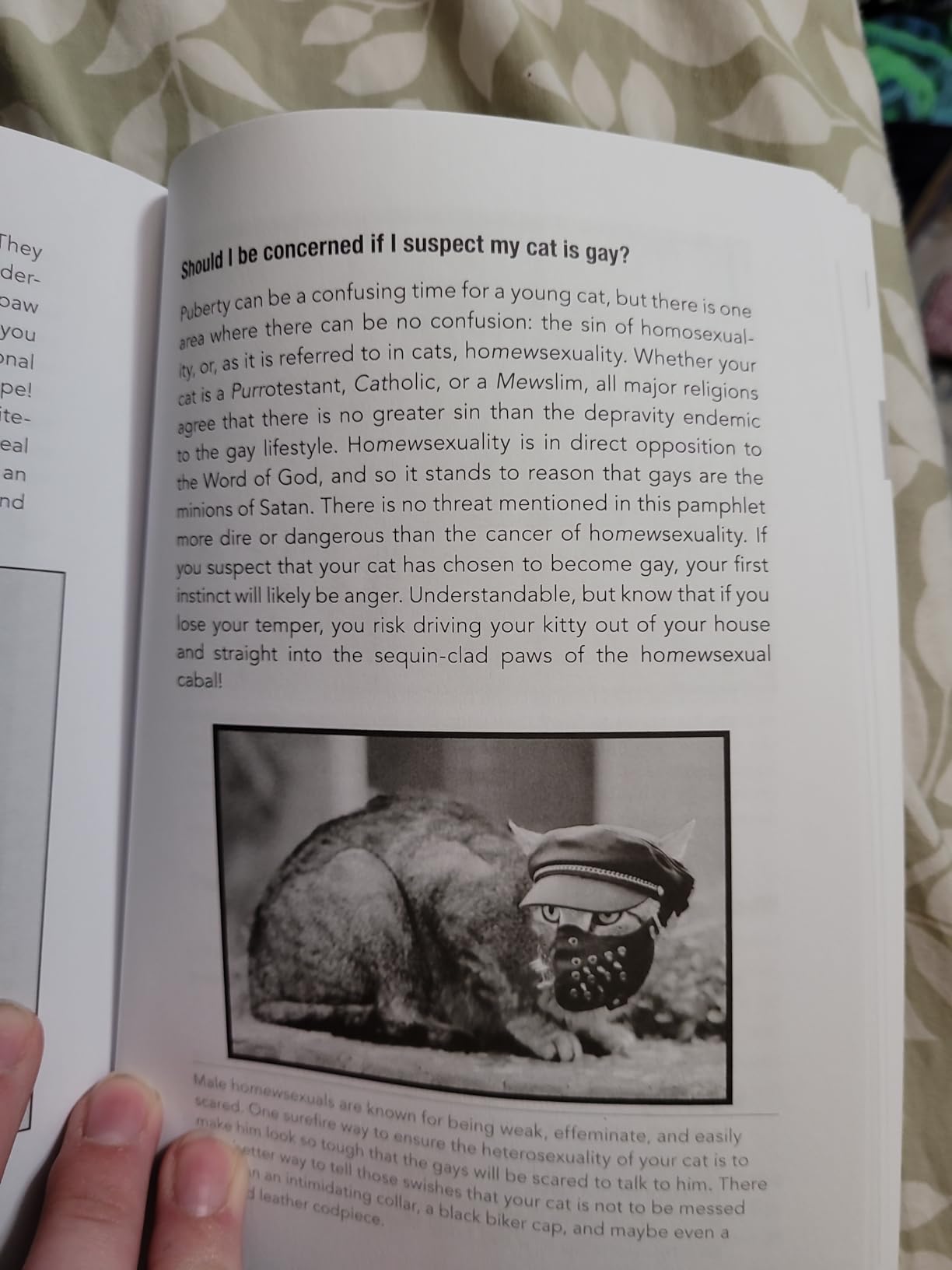 How to Talk to Your Cat About Gun Safety: And Abstinence, Drugs, Satanism, and Other Dangers That Threaten Their Nine Lives customer photo 1
