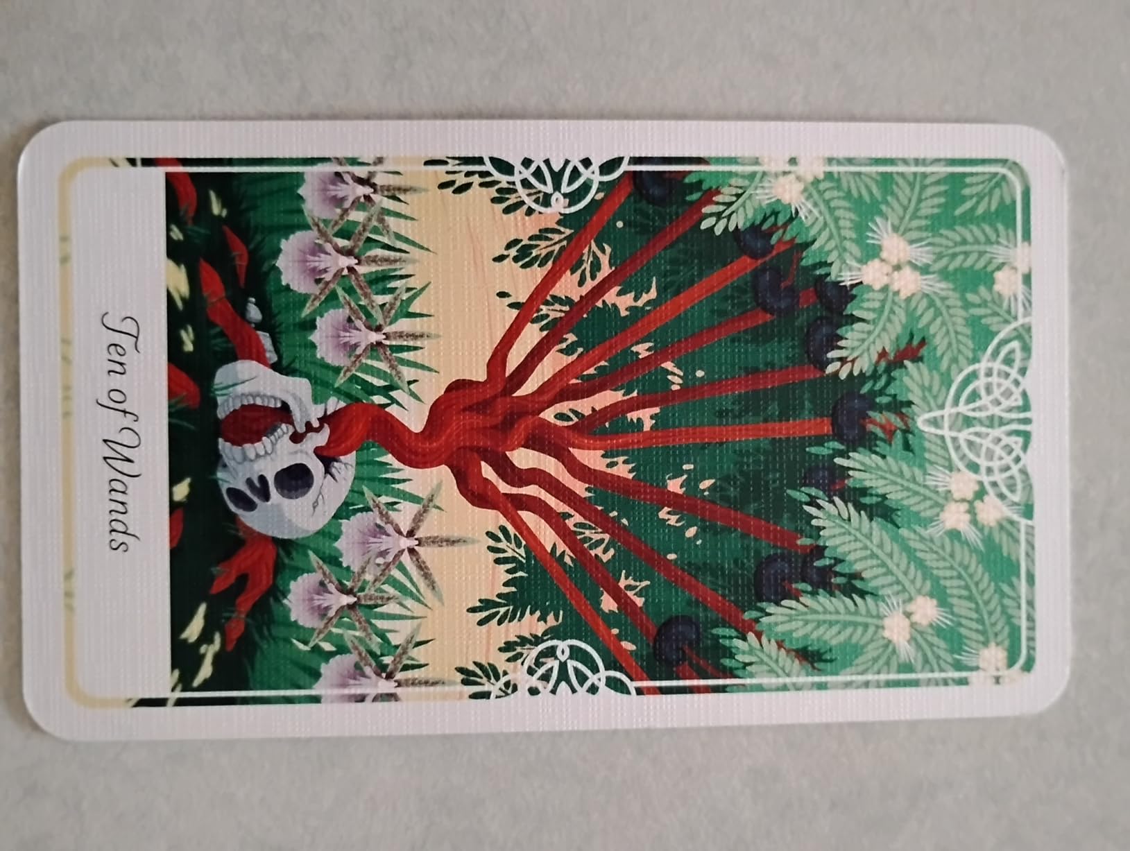 Tarot of the Divine: A Deck and Guidebook Inspired by Deities, Folklore, and Fairy Tales from Around the World: Tarot Cards customer photo 1