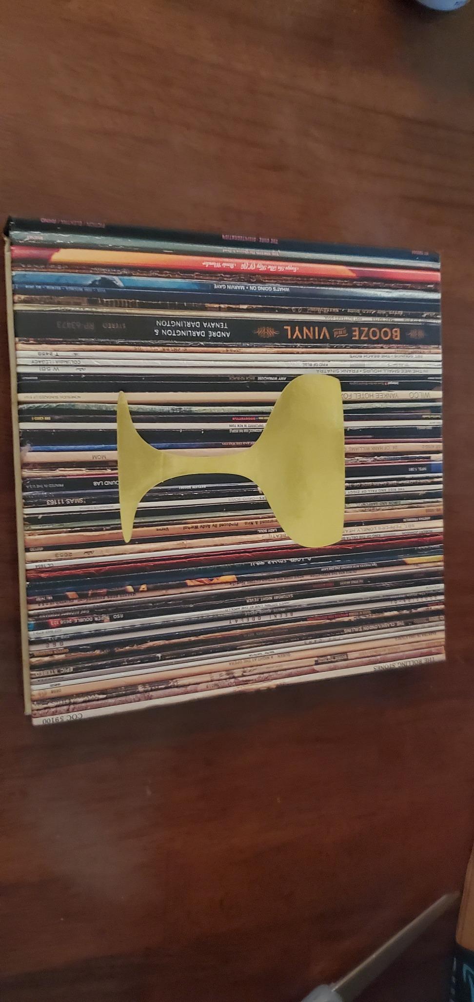 Booze & Vinyl: A Spirited Guide to Great Music and Mixed Drinks customer photo 2