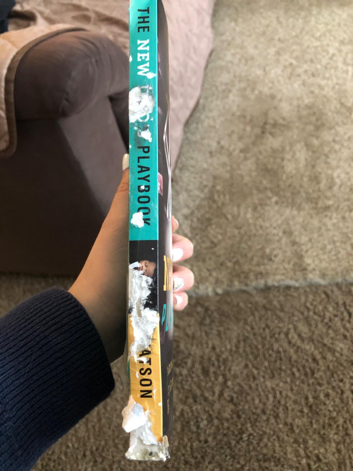 The New Dad's Playbook: Gearing Up for the Biggest Game of Your Life – A New Dad Book, Perfect for First Time Dads and Fathers to Be customer photo 1