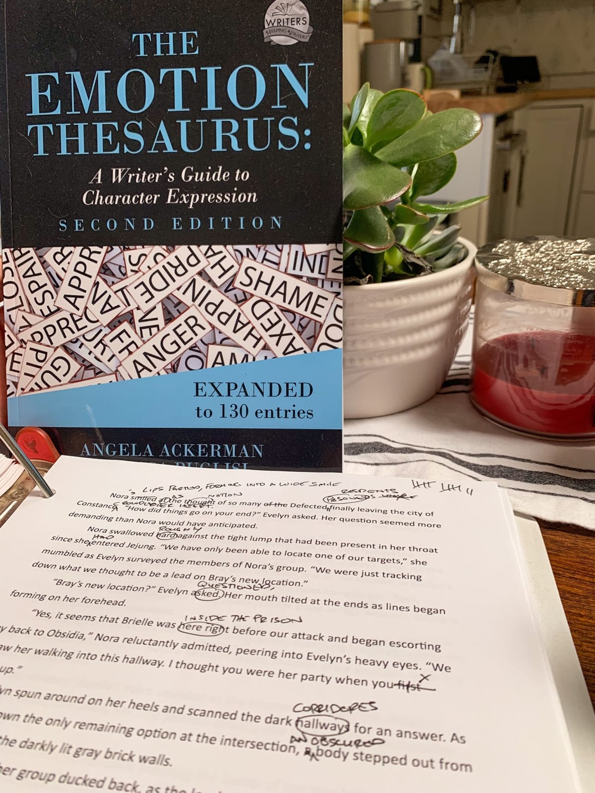 The Emotion Thesaurus: A Writer's Guide to Character Expression (Second Edition) (Writers Helping Writers Series) customer photo 1