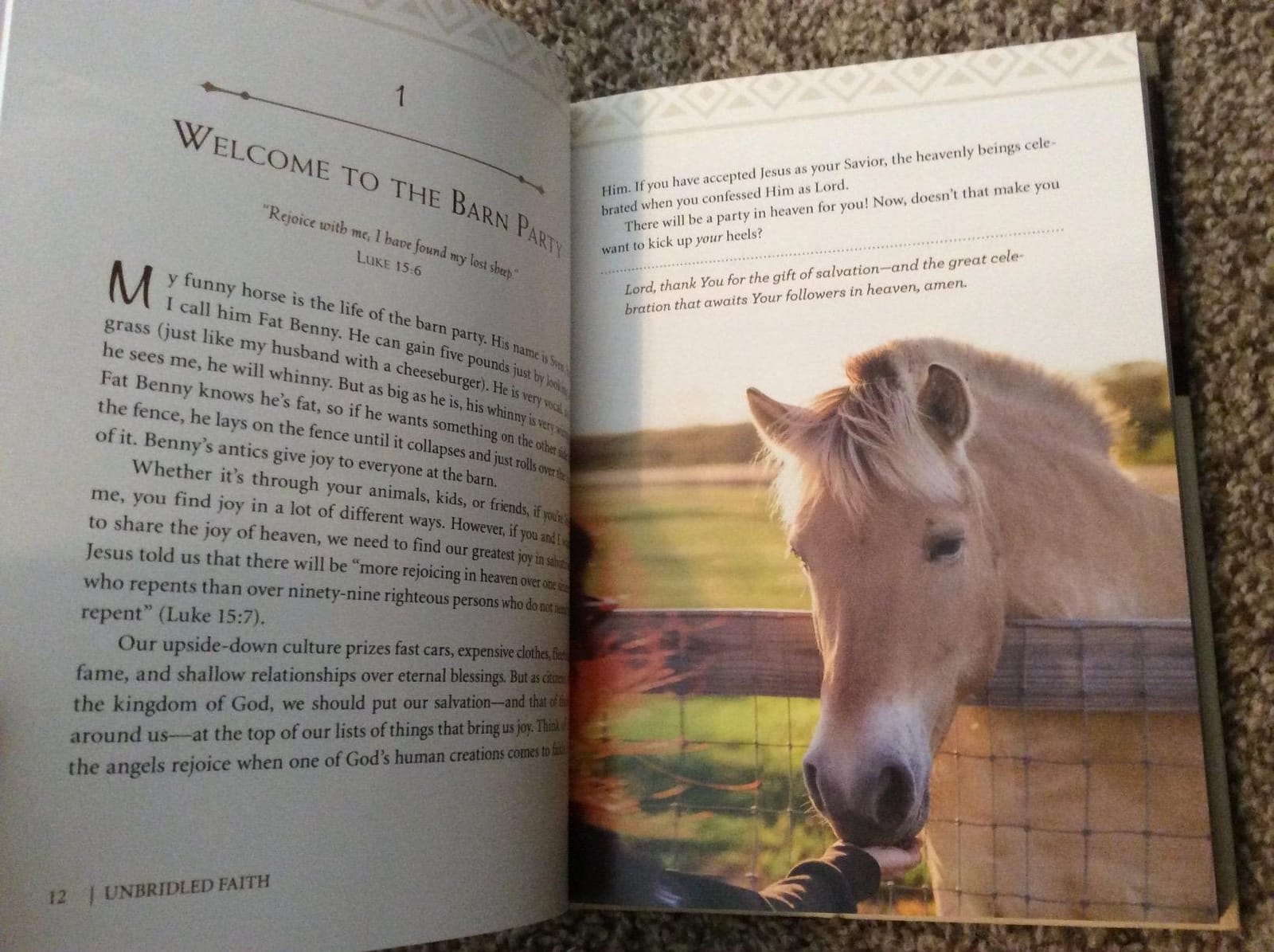Unbridled Faith: 100 Devotions from the Horse Farm - A Daily Devotional - The Perfect Christian Gift for Horse Lovers and Equestrian Enthusiasts customer photo 1