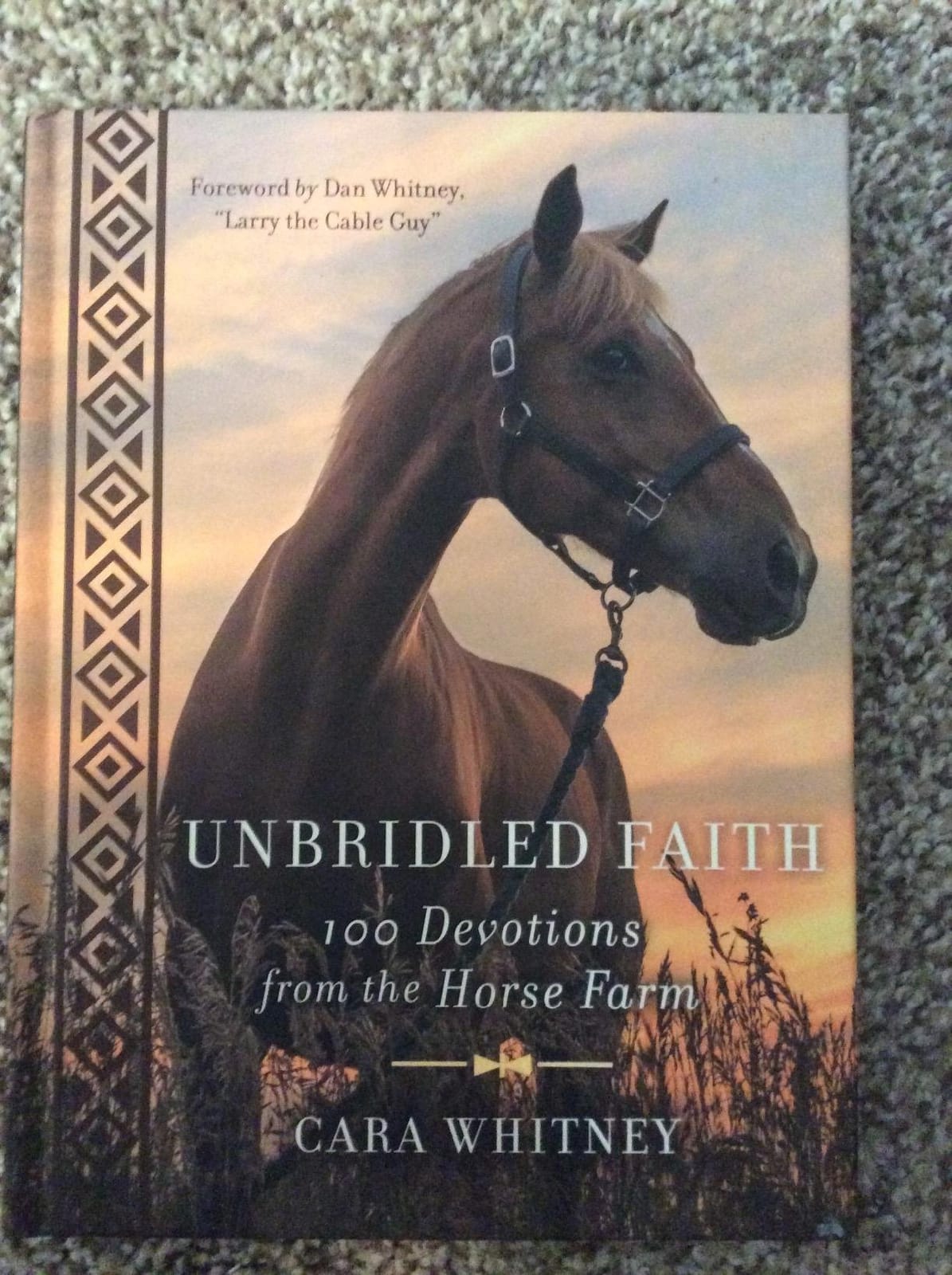 Unbridled Faith: 100 Devotions from the Horse Farm - A Daily Devotional - The Perfect Christian Gift for Horse Lovers and Equestrian Enthusiasts customer photo 2