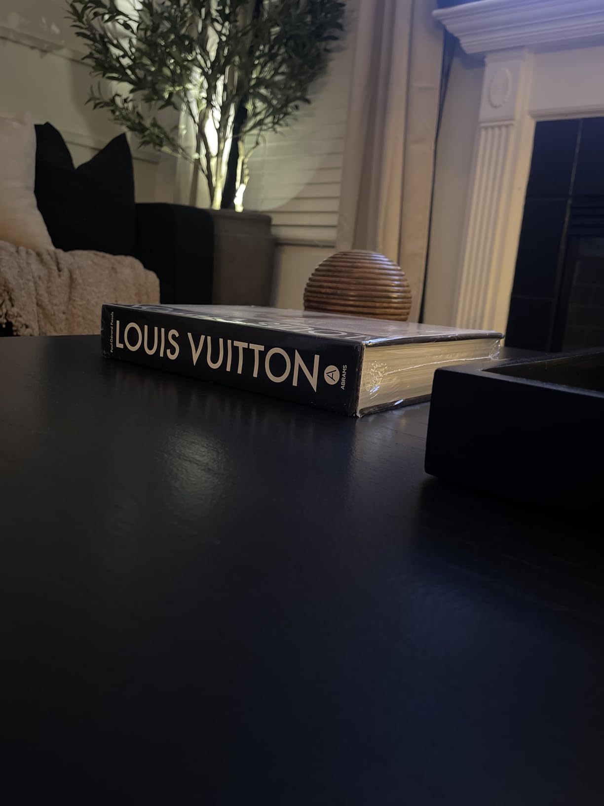 Louis Vuitton: The Birth of Modern Luxury: Updated Edition customer photo 2