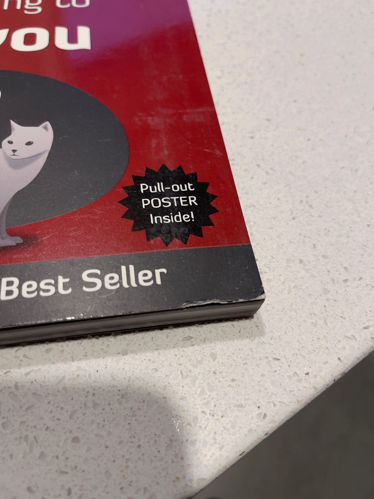 How to Tell If Your Cat Is Plotting to Kill You (The Oatmeal) (Volume 2) customer photo 1