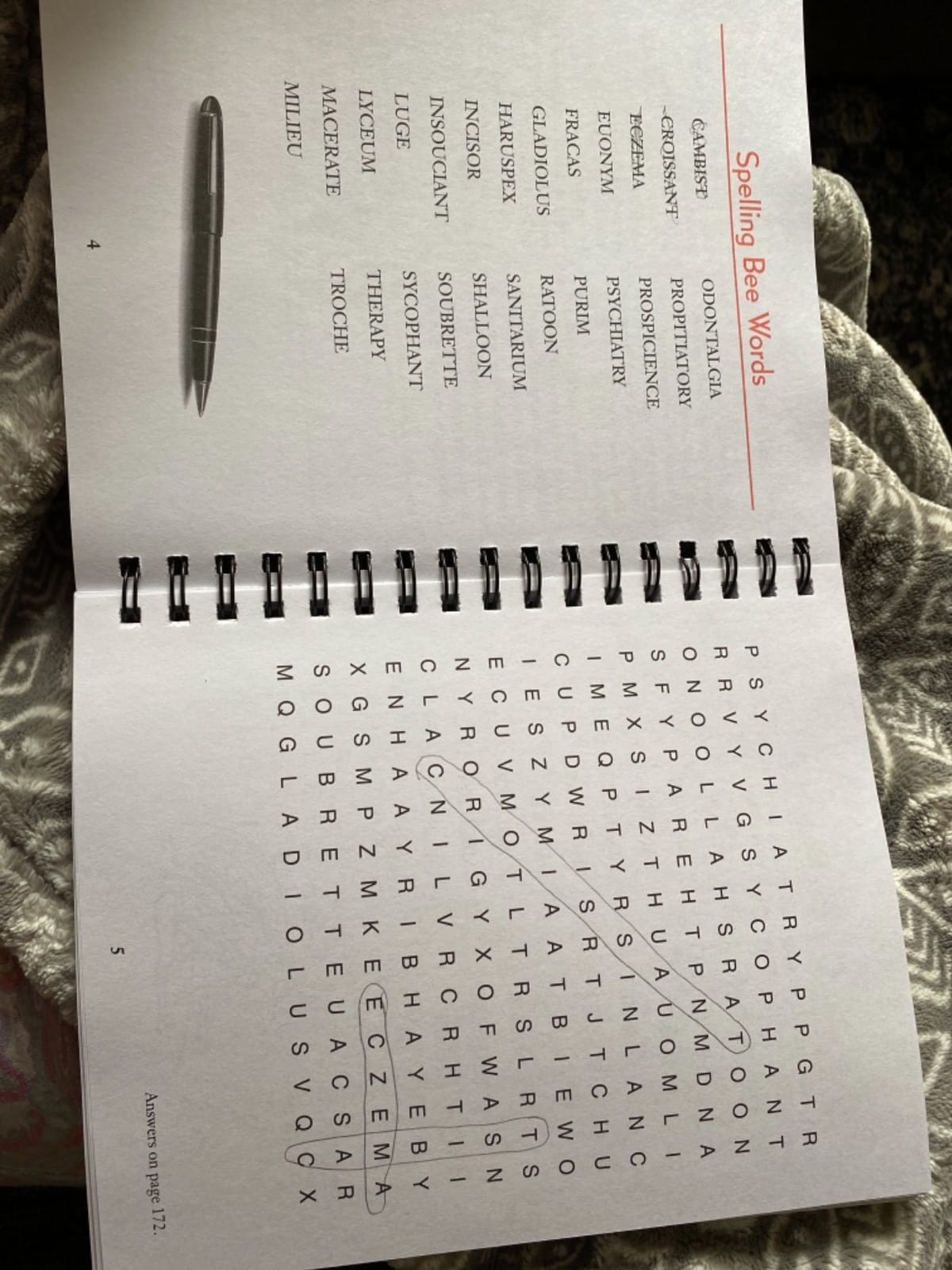 Brain Games - Word Searches - Large Print: Easy on the Eyes, Not on the Brain | Puzzles Progress from Simple to Challenging | Gift for Adults & Seniors (Brain Games Large Print) customer photo 1