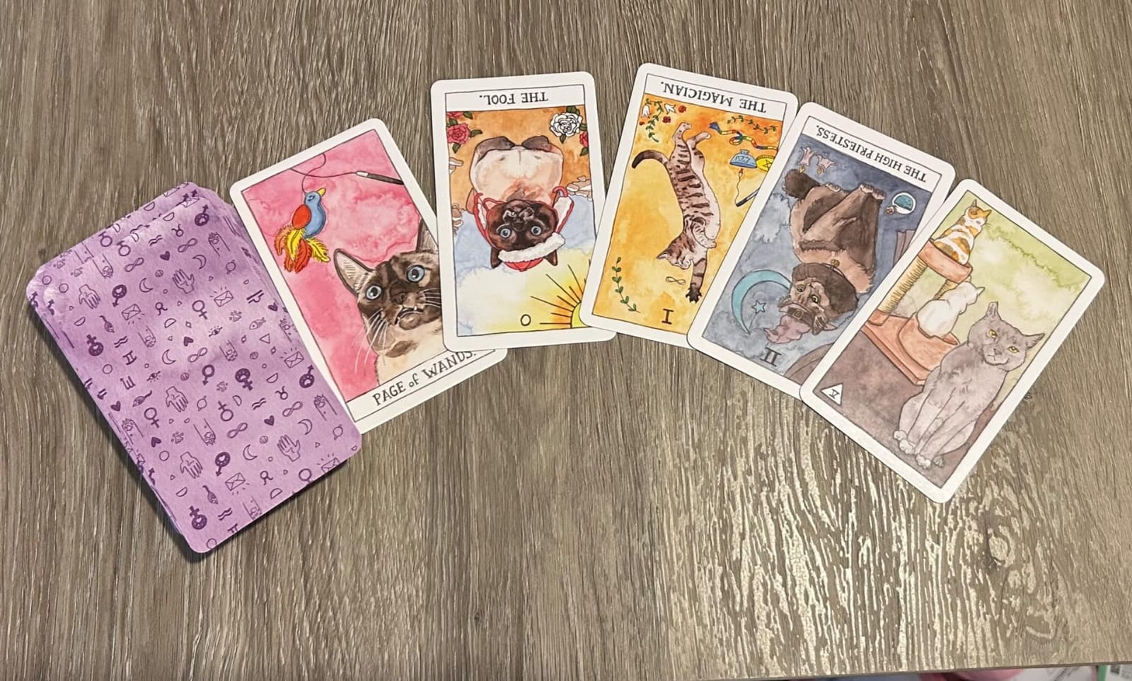 Cat Tarot: 78 Cards & Guidebook customer photo 2