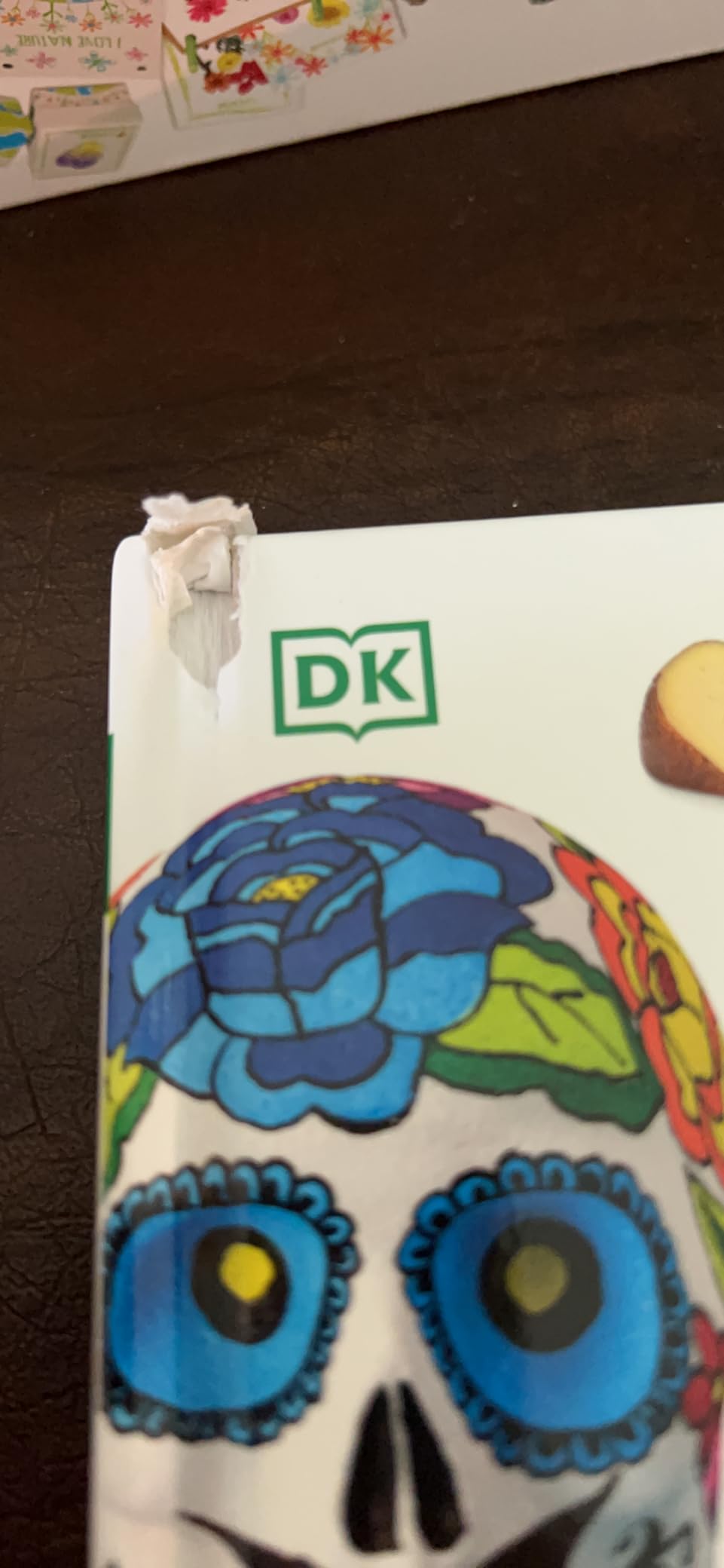 Countries of the World: A Visual World Geography Encyclopedia for Kids (DK Our World in Pictures) customer photo 1