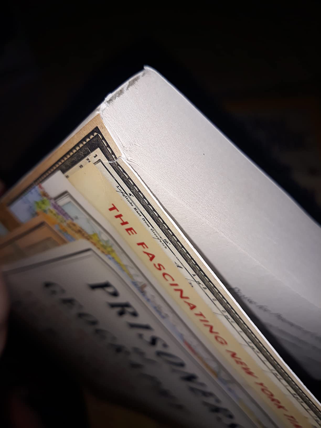 Prisoners of Geography: Ten Maps That Explain Everything About the World (Politics of Place) customer photo 2